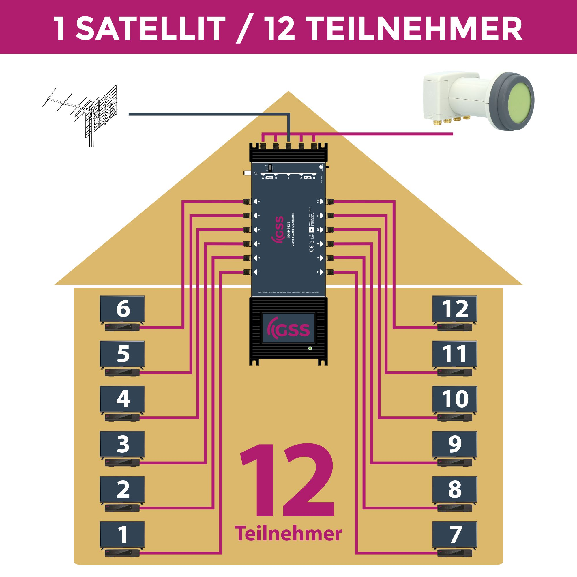 Diagramm eines Satellitensystems für 12 Teilnehmer. Enthält eine Satellitenschüssel, Drähte und Boxen.