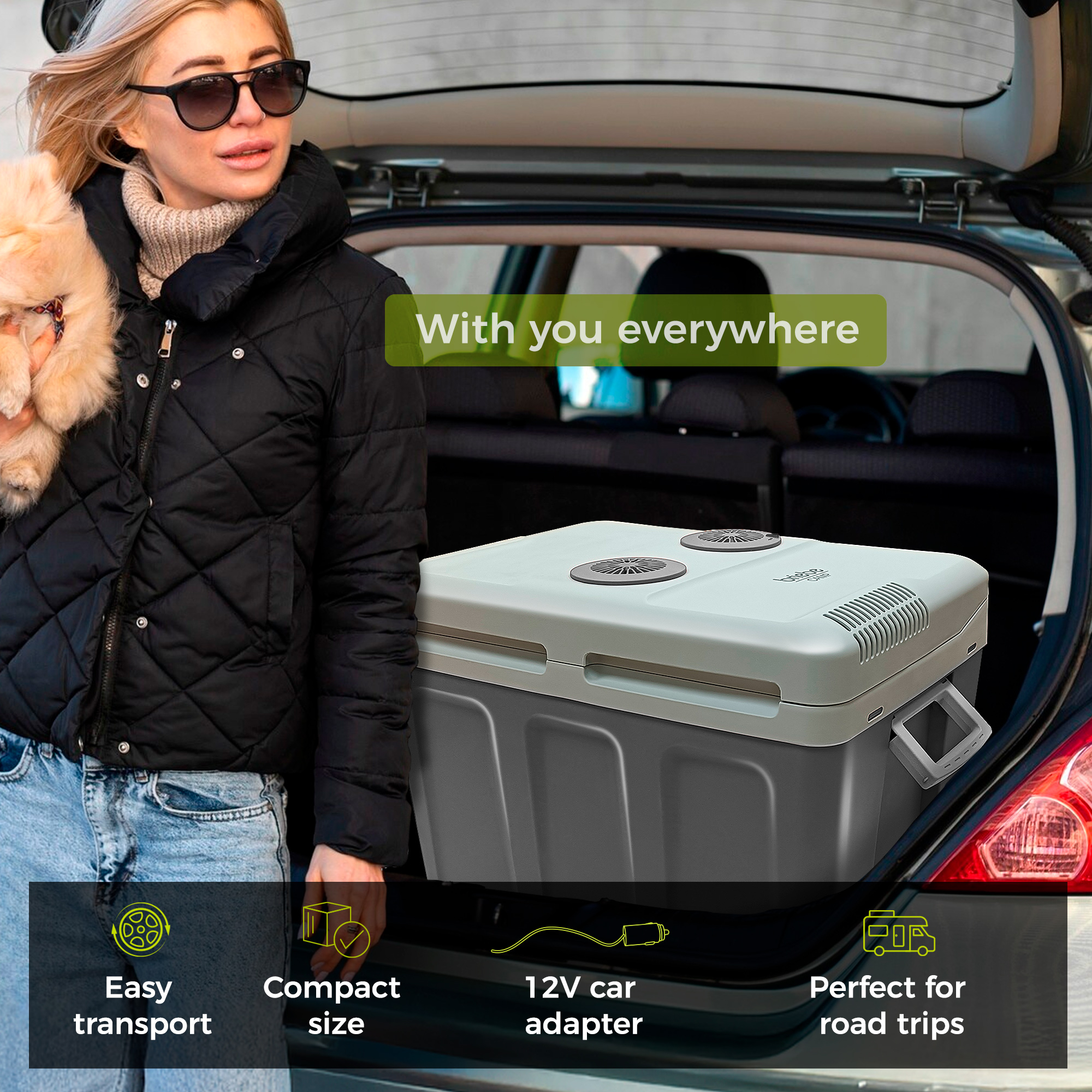 Eine Frau mit einem Hund neben einem Auto. Ein Kühler befindet sich im Heck des Autos. Grüne Box mit Griff.