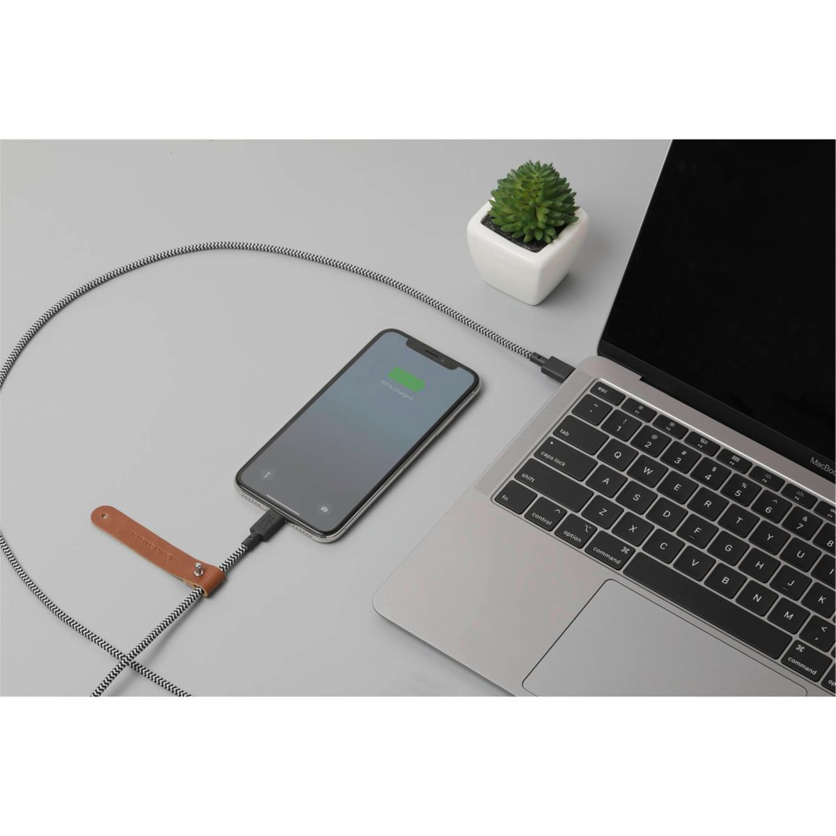 Uno smartphone collegato a un laptop con un cavo di ricarica, con una piccola pianta sullo sfondo.