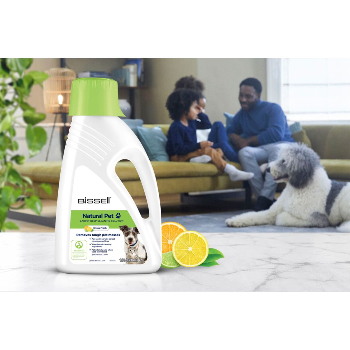Flasche Teppichreiniger für Haustiere mit Hund, zwei Personen auf Couch, Hund.