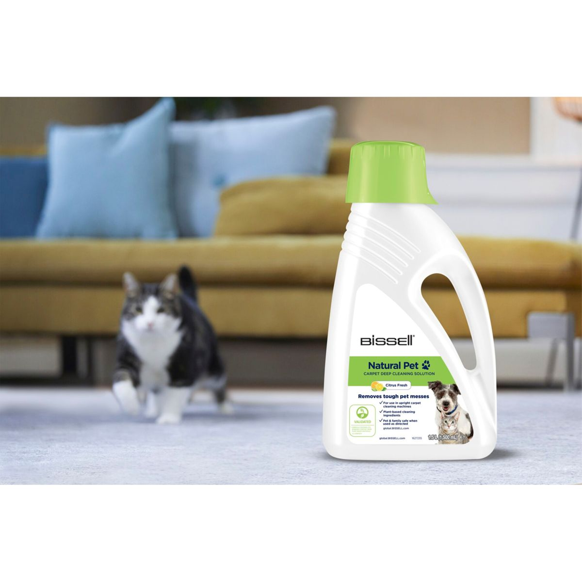 Eine Flasche Fleckenentferner für Haustiere auf dem Boden. Eine Katze geht und ein Hund ist auf dem Etikett.