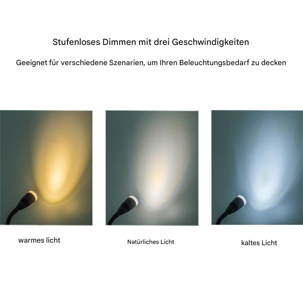 Drei Lichter mit unterschiedlichen Farbtemperaturen, von warmgelb bis kaltweiß.