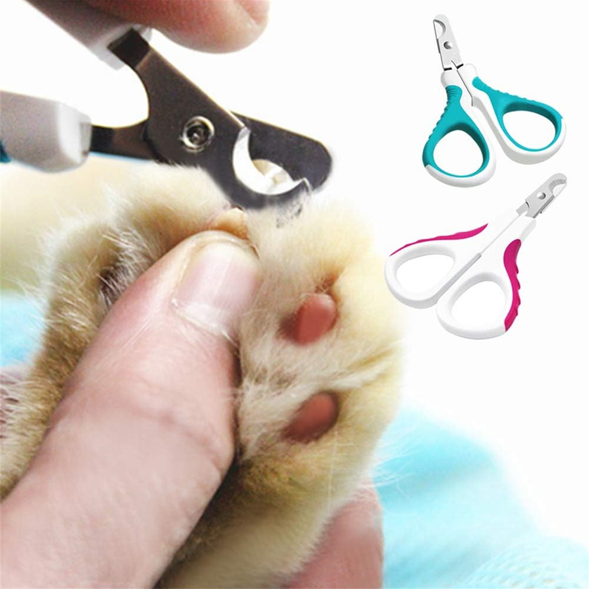 Hände, die die Krallen einer Katze schneiden. Zwei weitere Zangenpaare sind ebenfalls sichtbar.