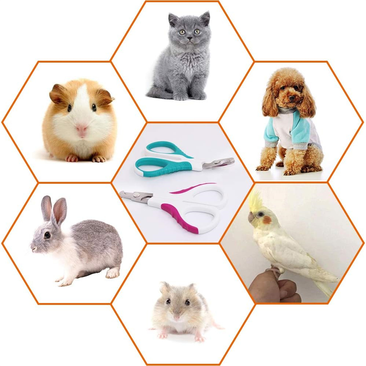 Sechs Haustiere in Sechsecken mit Haustierpflegeschere. Tiere umfassen Katze, Hund, Kaninchen, Meerschweinchen und Hamster.