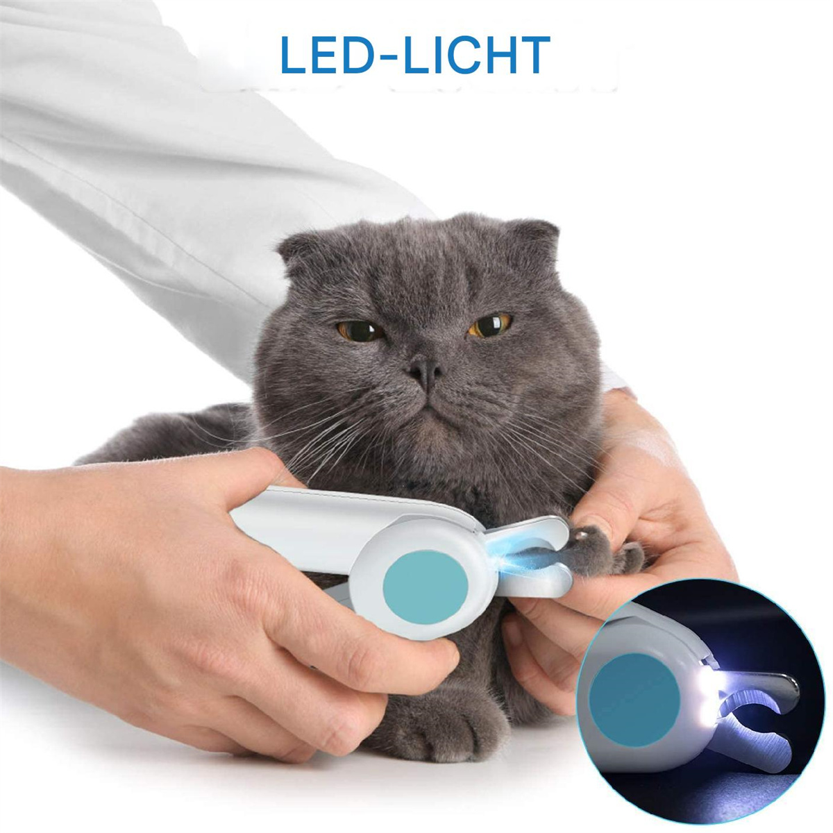 Eine graue Katze mit einem Nagelknipser und einem Hintergrund.