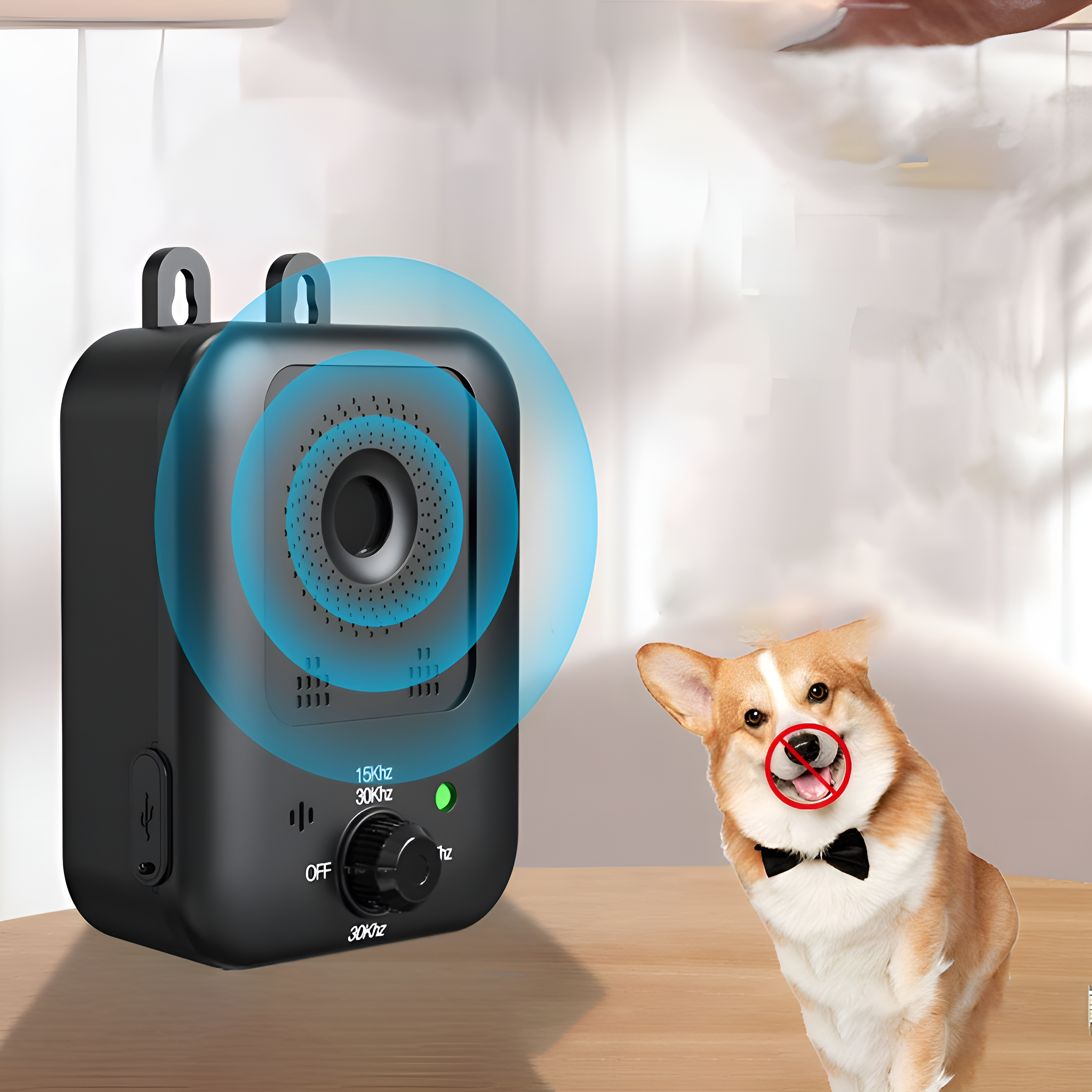 Ein Hund mit Maulkorb und ein Gerät, das einen blauen Kreis aussendet. Das Gerät hat Knöpfe.