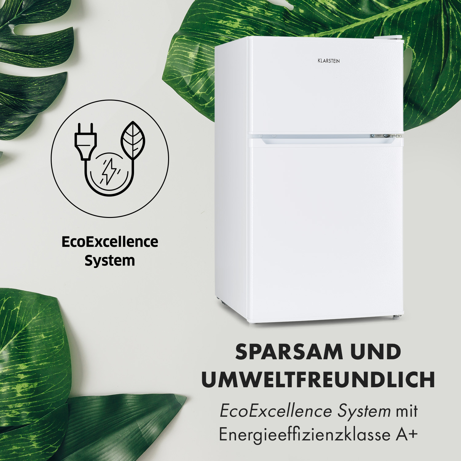 Frigorifero bianco con foglie verdi. Visibile il logo EcoExcellence System.