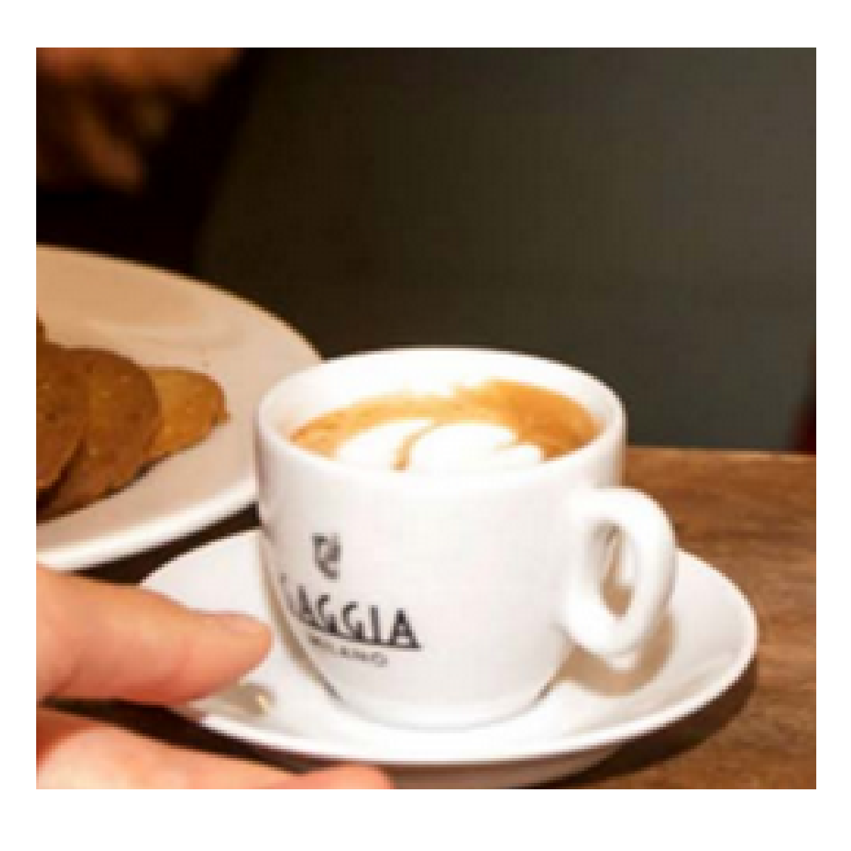 Eine weiße Kaffeetasse mit dem Gaggia-Logo auf einer Untertasse, mit Latte Art.