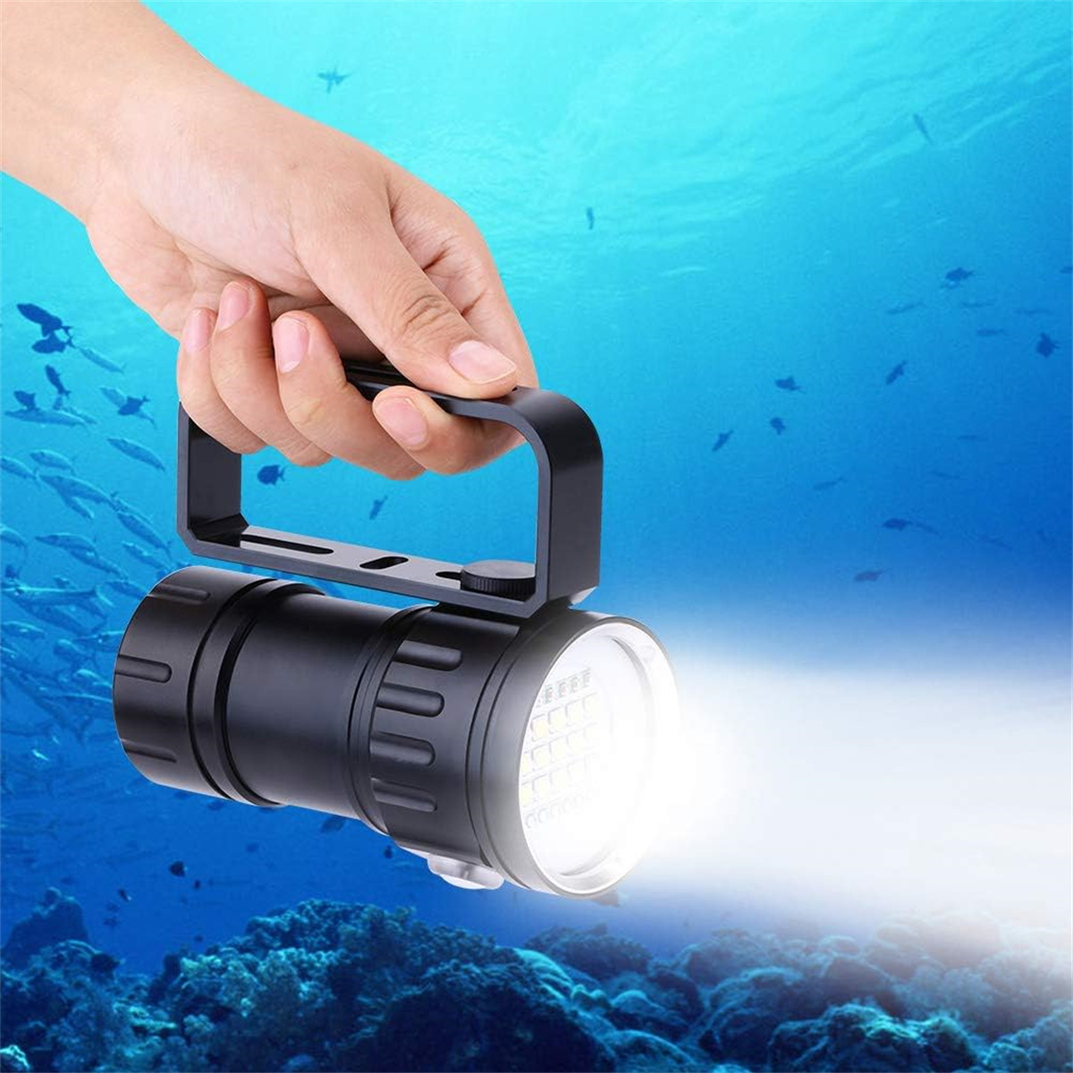 Hand, die eine schwarze Unterwasser-Taschenlampe hält, die helles Licht in blaues Wasser mit Fischen scheint.