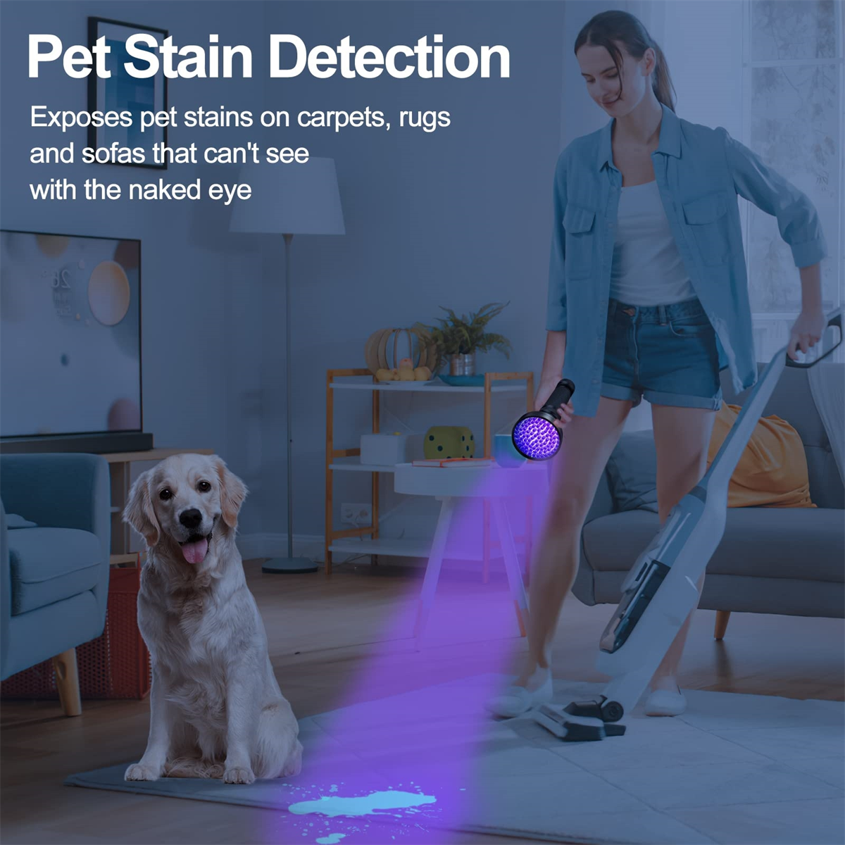 Frau verwendet UV-Licht, um Tierflecken auf Teppich zu erkennen, Hund anwesend.