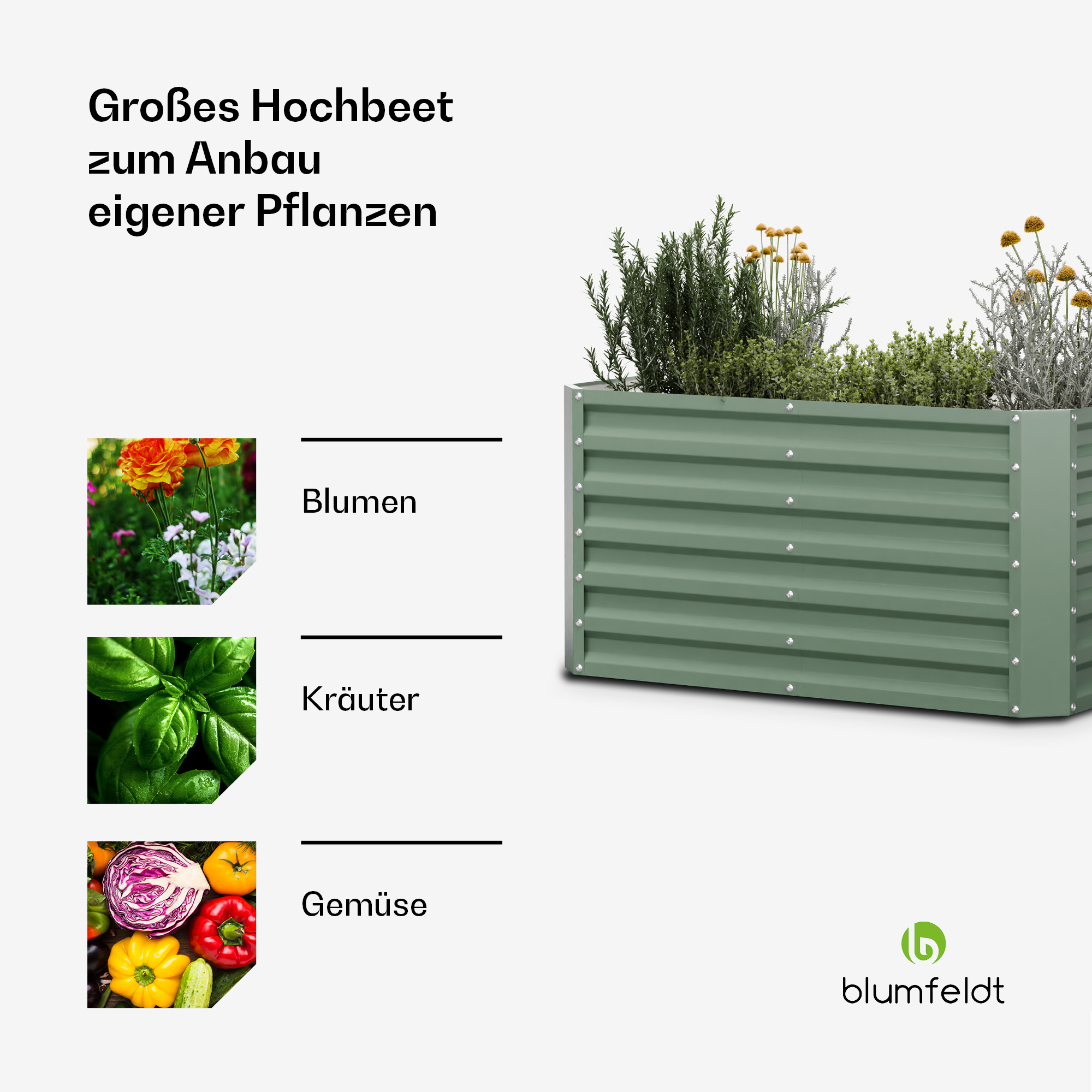 Jardinera elevada verde con plantas a la derecha e imágenes de flores, hierbas y verduras a la izquierda.