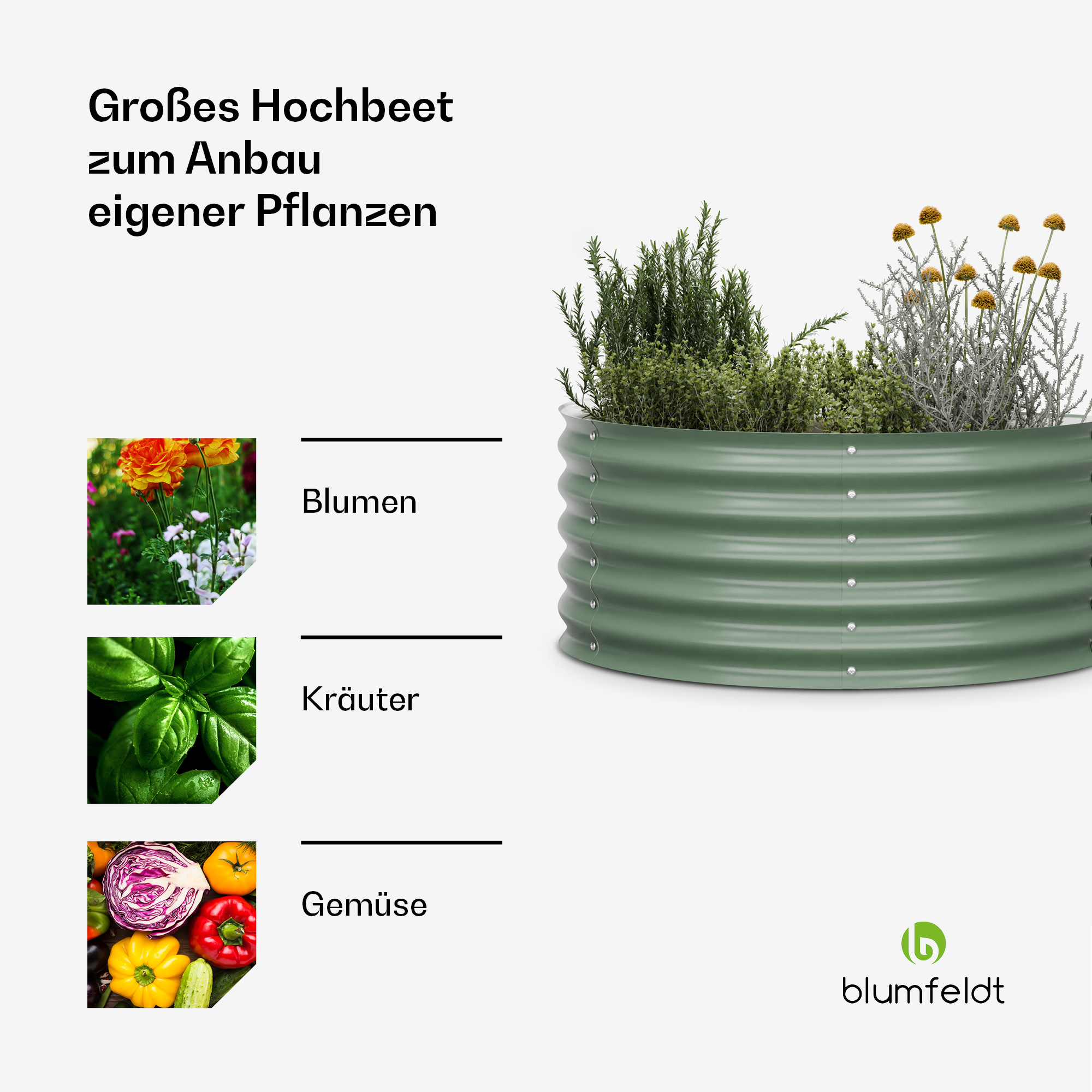 Erhöhtes Beet mit Blumen, Kräutern und Gemüse. Grünes Metallbeet, weißer Hintergrund.