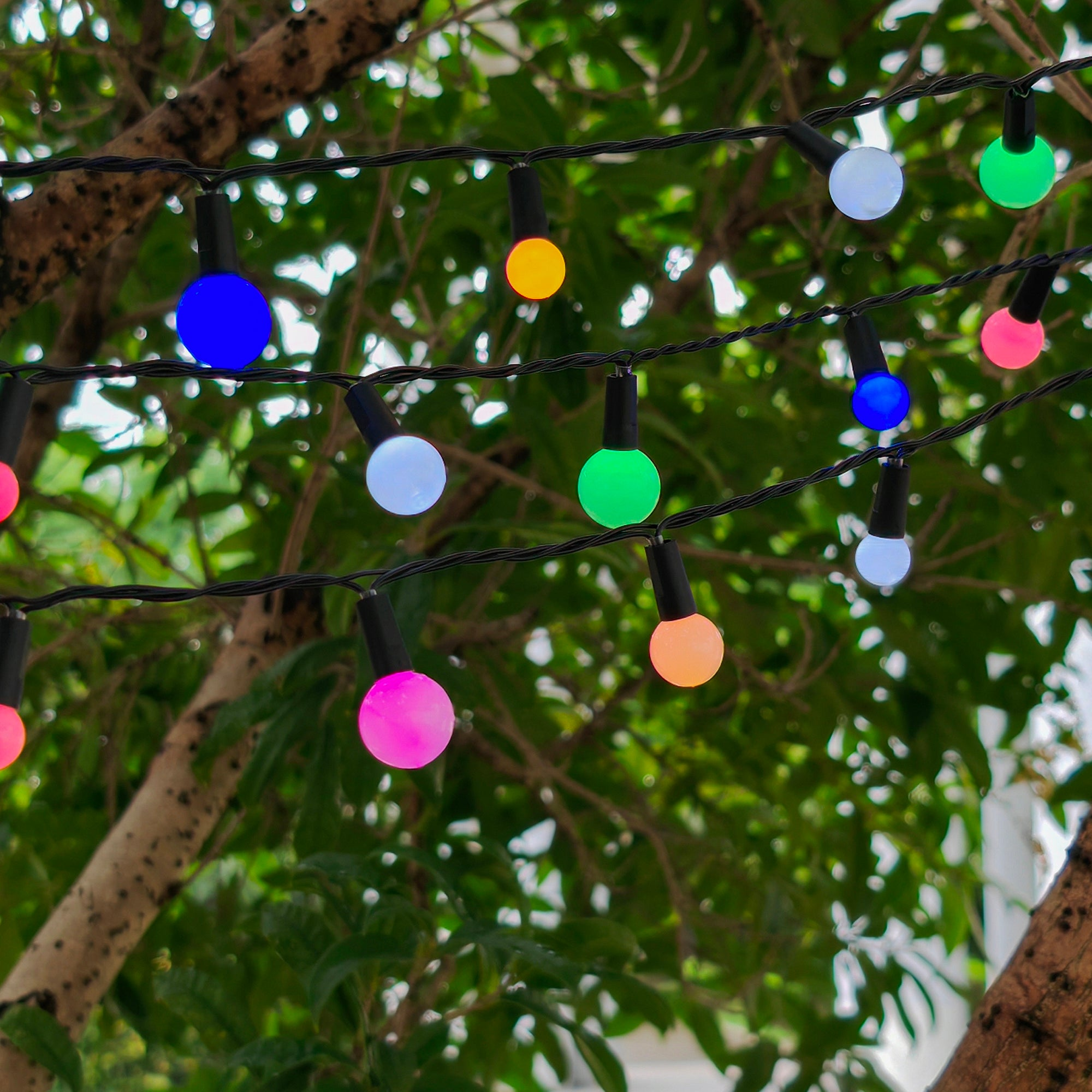 Eine Lichterkette mit bunten Lichtern in einem Baum. Der Hintergrund ist grün.