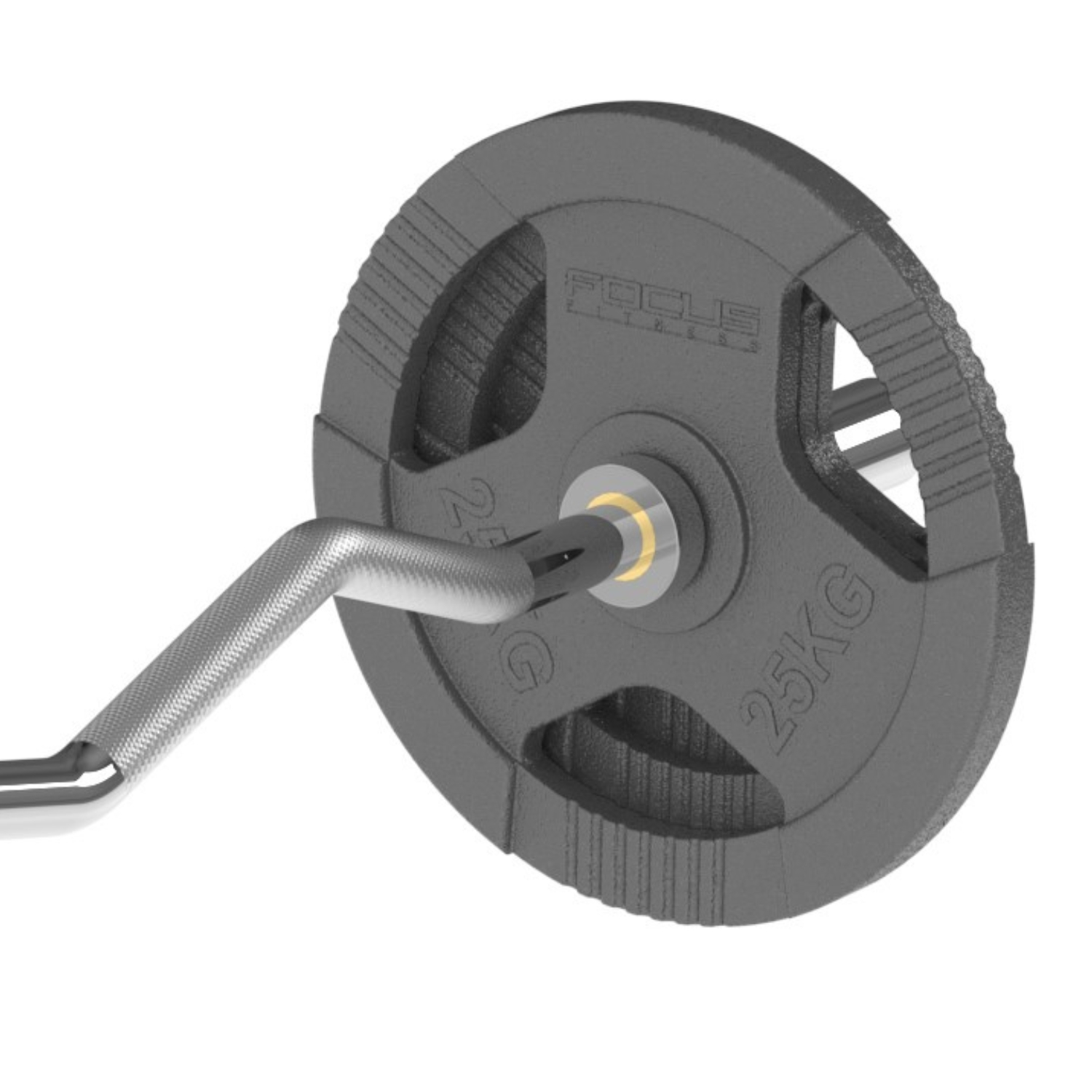 A black 25KG weight plate attached to a silver EZ-curl bar, set against a white background.