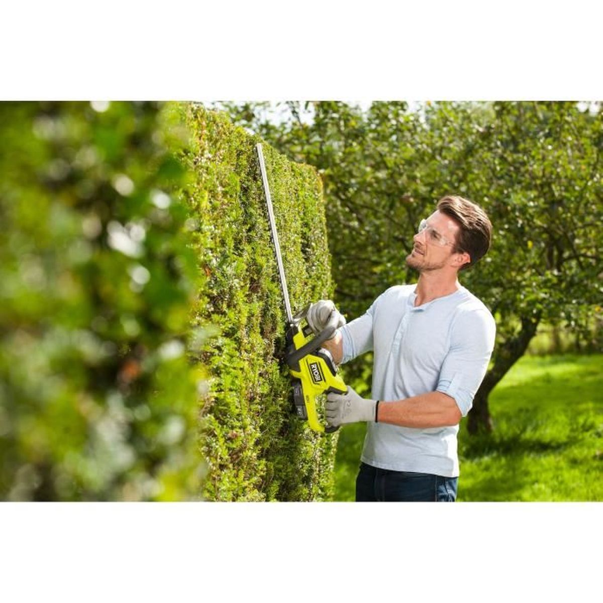 Ein Mann schneidet eine Hecke mit einer grün-gelben elektrischen Heckenschere.