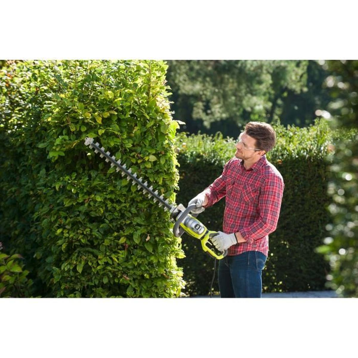Mann, der eine Heckenschere benutzt, um eine grüne Hecke zu schneiden. Sonniger Tag.