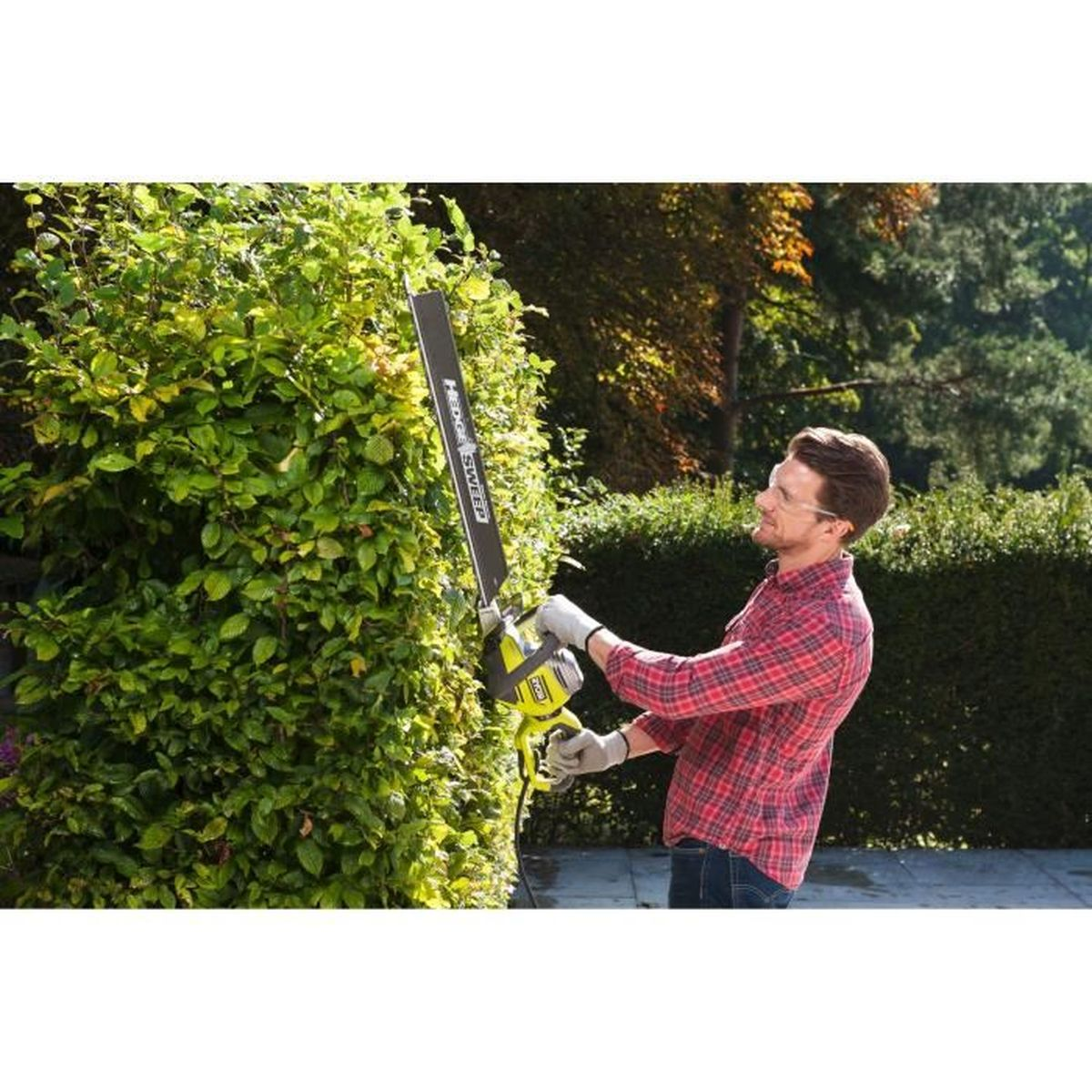 Ein Mann schneidet eine Hecke mit einer Heckenschere. Er trägt eine Brille und Handschuhe.