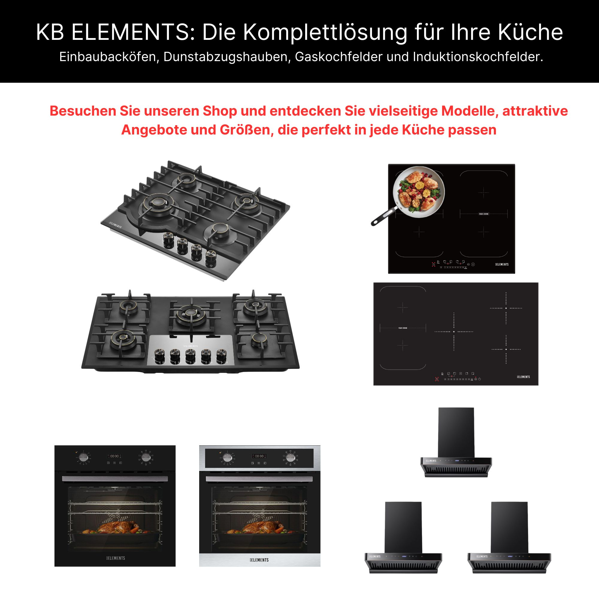 Küchengeräte: ein Gaskochfeld, Induktionskochfeld, Backofen und Dunstabzugshaube.