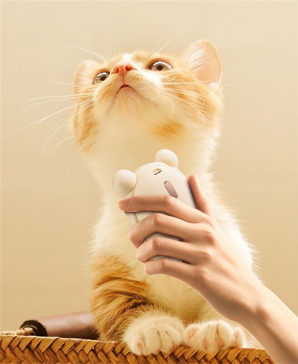 Katze schaut hoch, gehalten von einer Person, die ein Katzenspielzeug hält. Beiger Hintergrund.