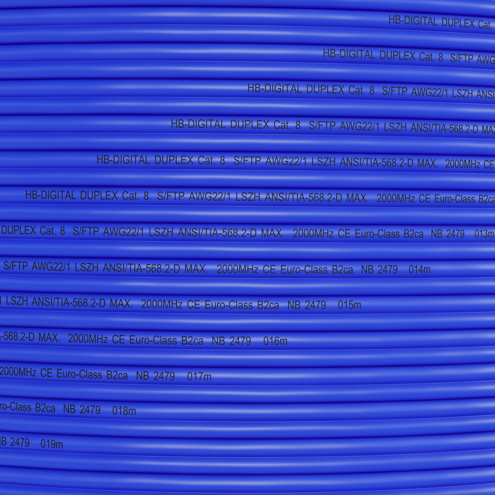 Blaue Netzwerkkabel mit Textetiketten.