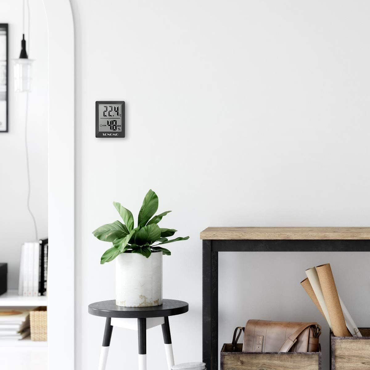 Ein Raum mit weißer Wand, schwarzem Digitaldisplay, Pflanze auf kleinem Tisch und Holzregal.