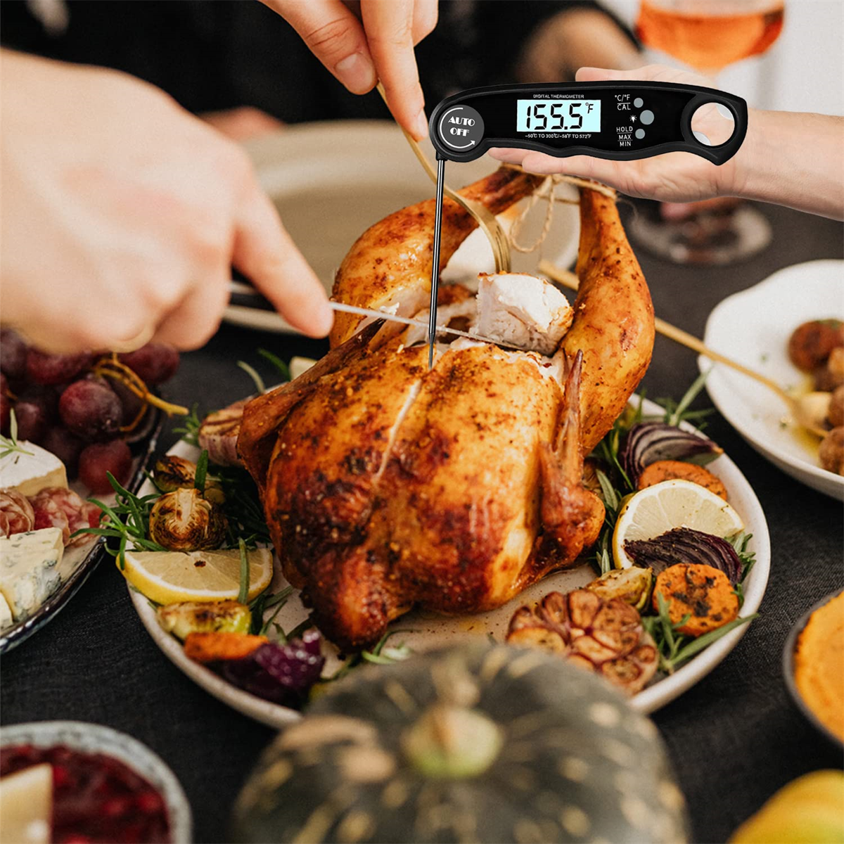 Gebratenes Hähnchen auf einer Platte, ein digitales Thermometer eingeführt. Gemüse und Beilagen umgeben das Huhn.