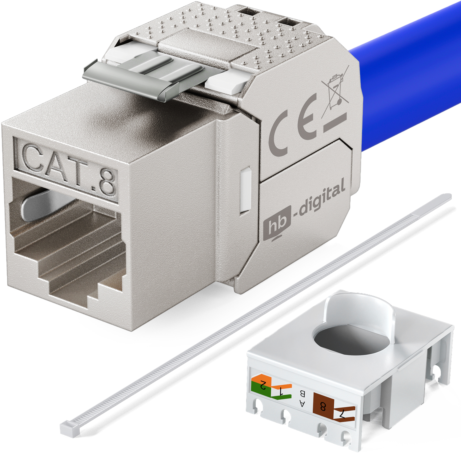 Netzwerkanschluss mit blauem Kabel und Kabelbinder. Der Stecker ist silberfarben und hat Text darauf.