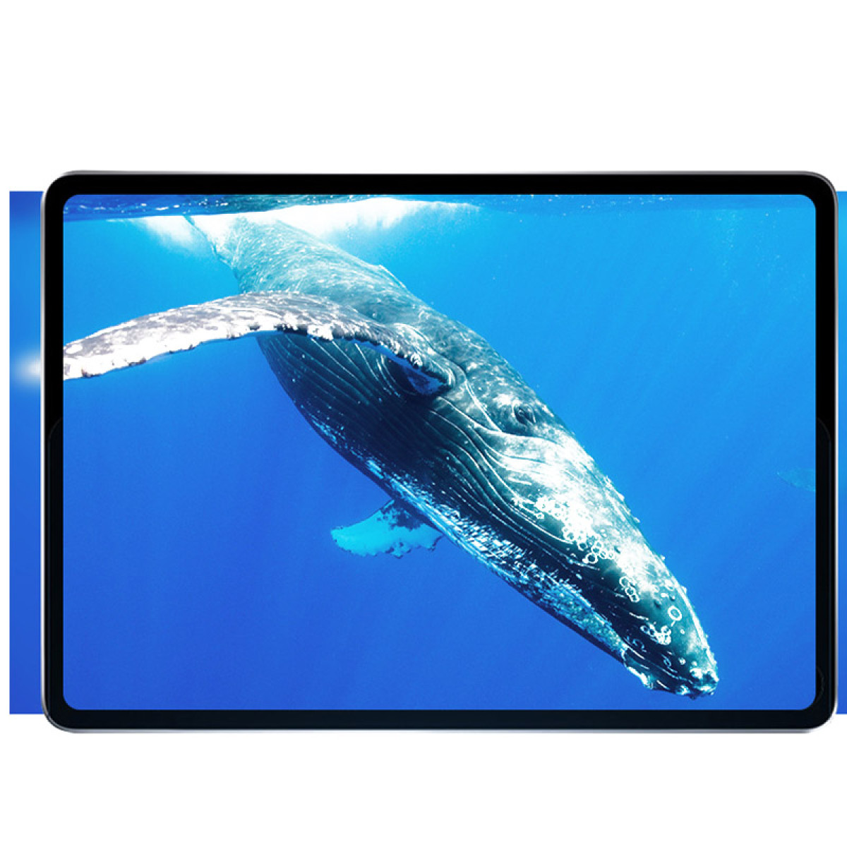 Tablet met een walvis onder water. Blauw water, walvis zwemt. Witte achtergrond.