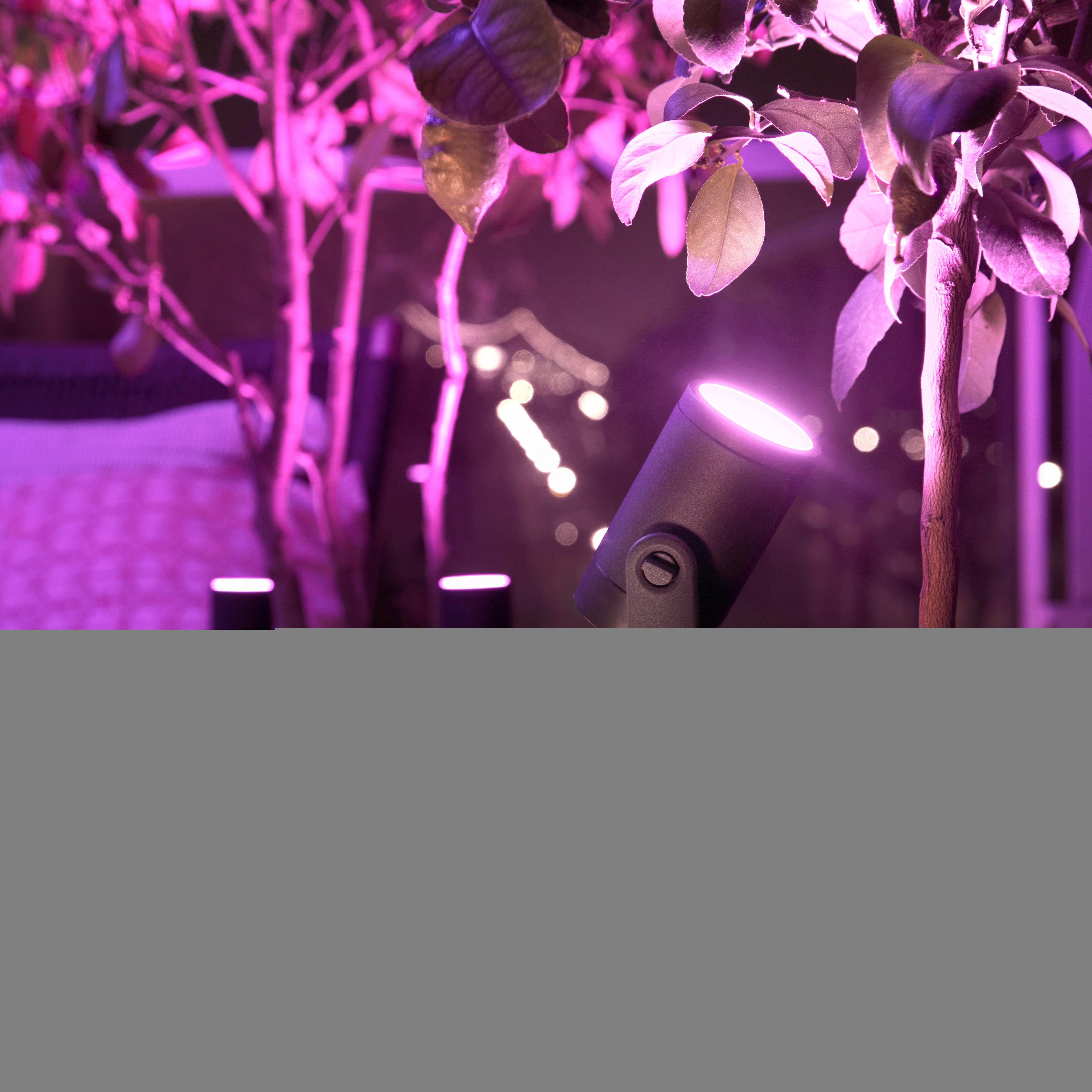 Zewnętrzne reflektory na drzewach z różowym światłem. Tło bokeh.