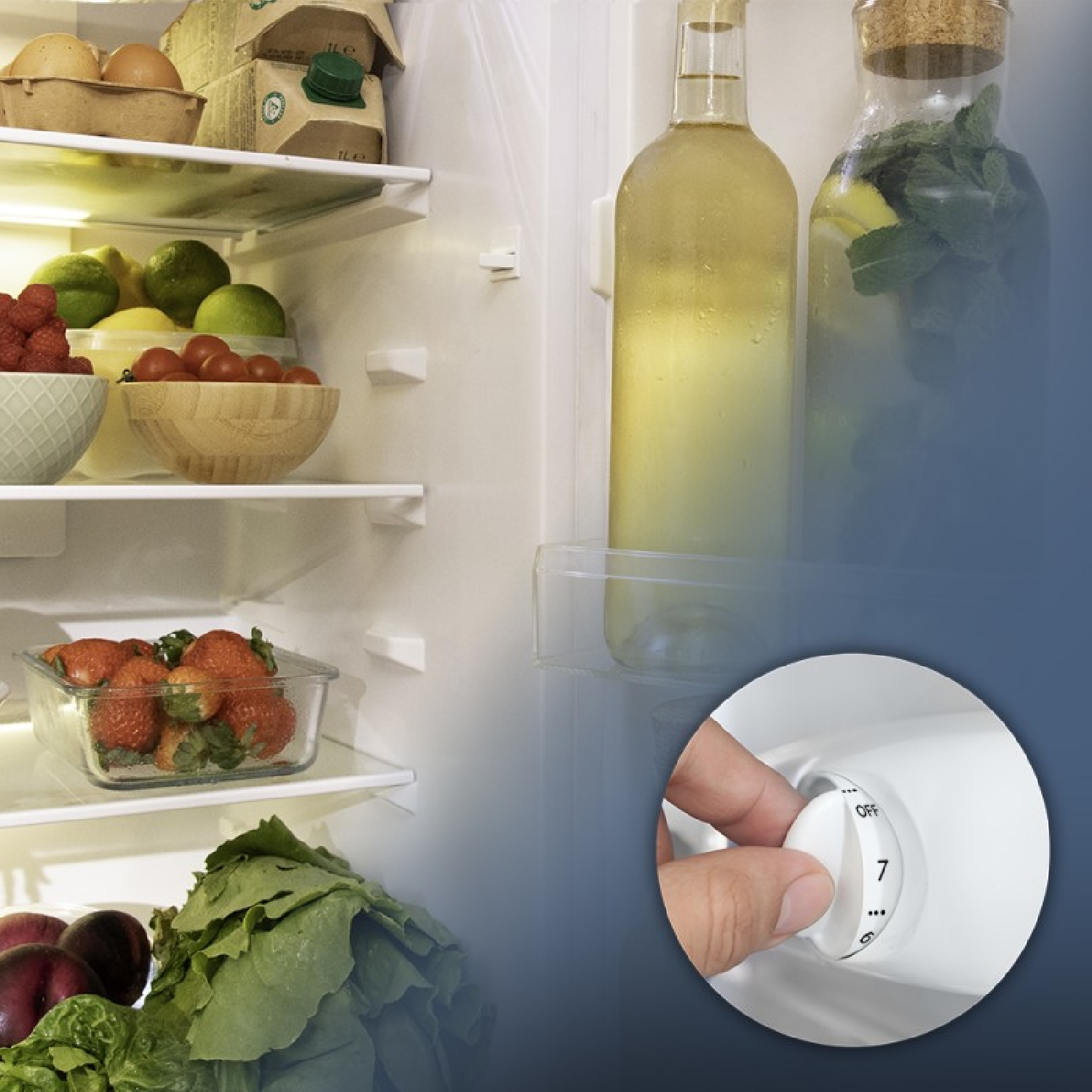 Wnętrze lodówki z butelkami wina i owocami. Ręka ustawia pokrętło temperatury na wyłączone.