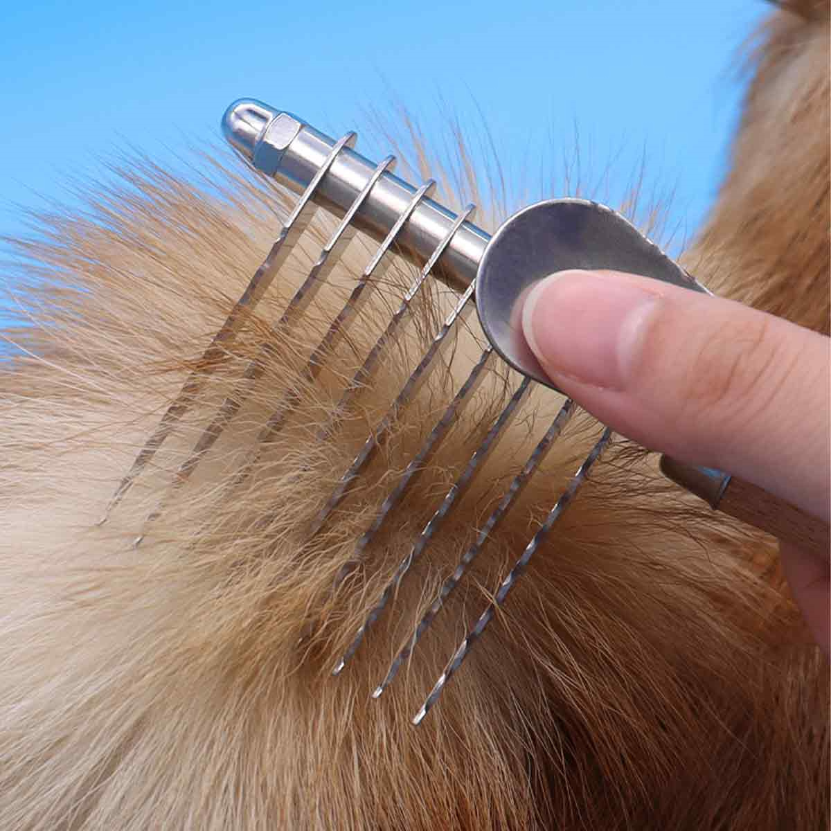 Eine Hand pflegt das Fell eines Hundes mit einem Metallkamm.