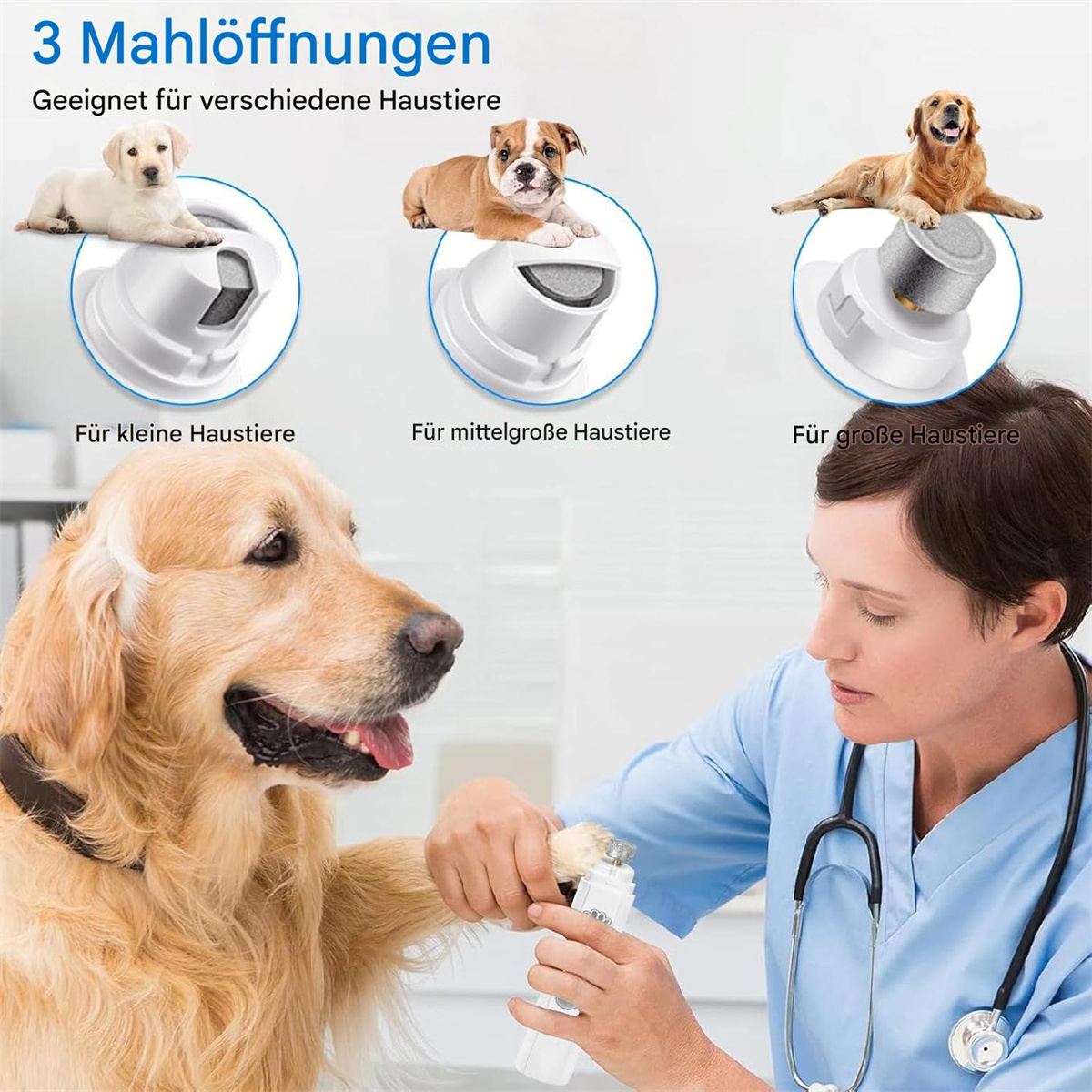 Tierarzt schneidet Hund Krallen mit Scheren. Drei Bilder zeigen Krallenschneider für verschiedene Tiergrößen.