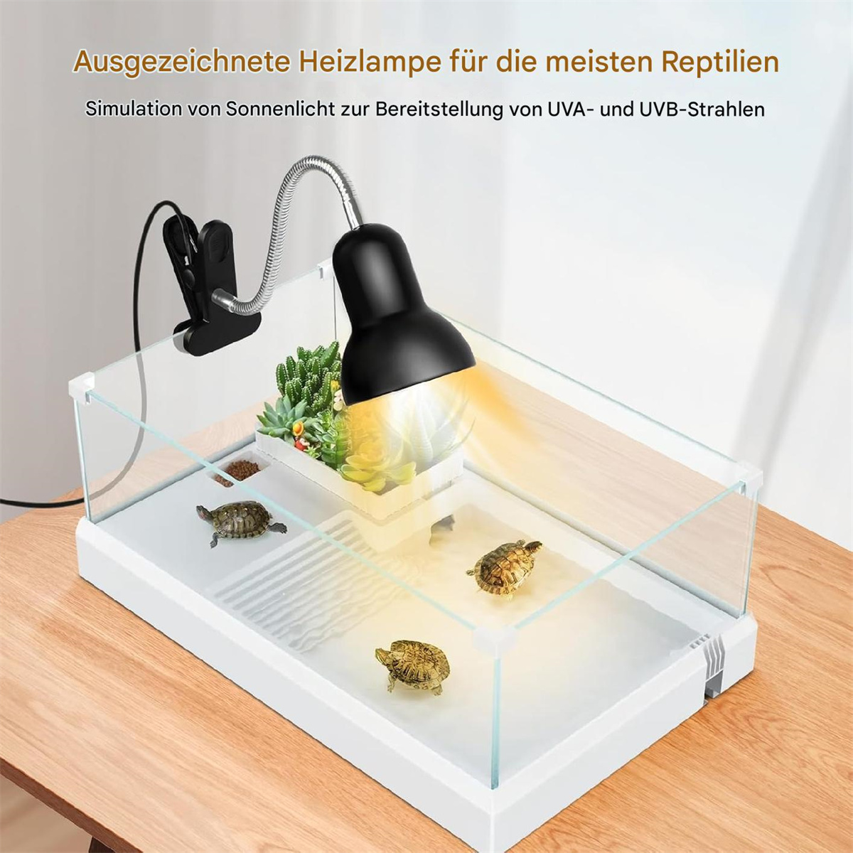 Ein Reptilienterrarium mit Lampe, drei Schildkröten, Pflanzen und einem Holztisch.