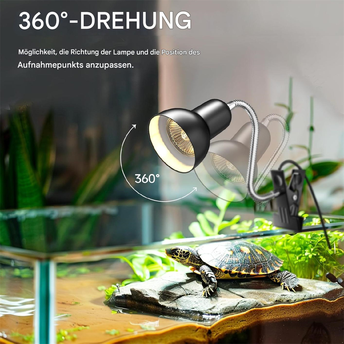 Schwarze Lampe mit Schildkröte im Terrarium.