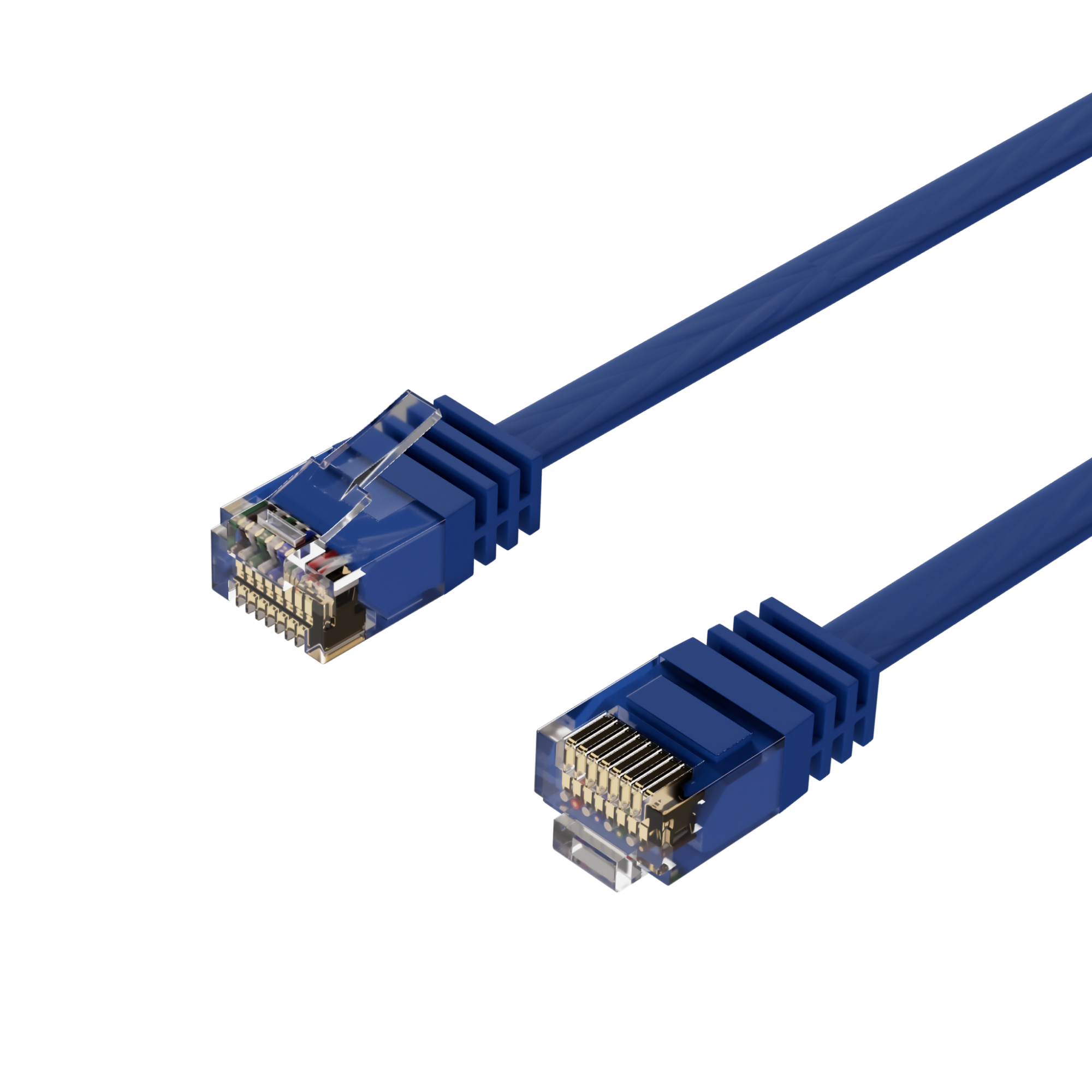 Zwei blaue Netzwerkkabel mit Steckern auf weißem Hintergrund.