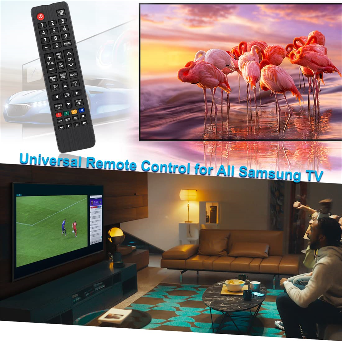 Eine Universalfernbedienung für Samsung TVs mit einem Bild von TV und Flamingos.