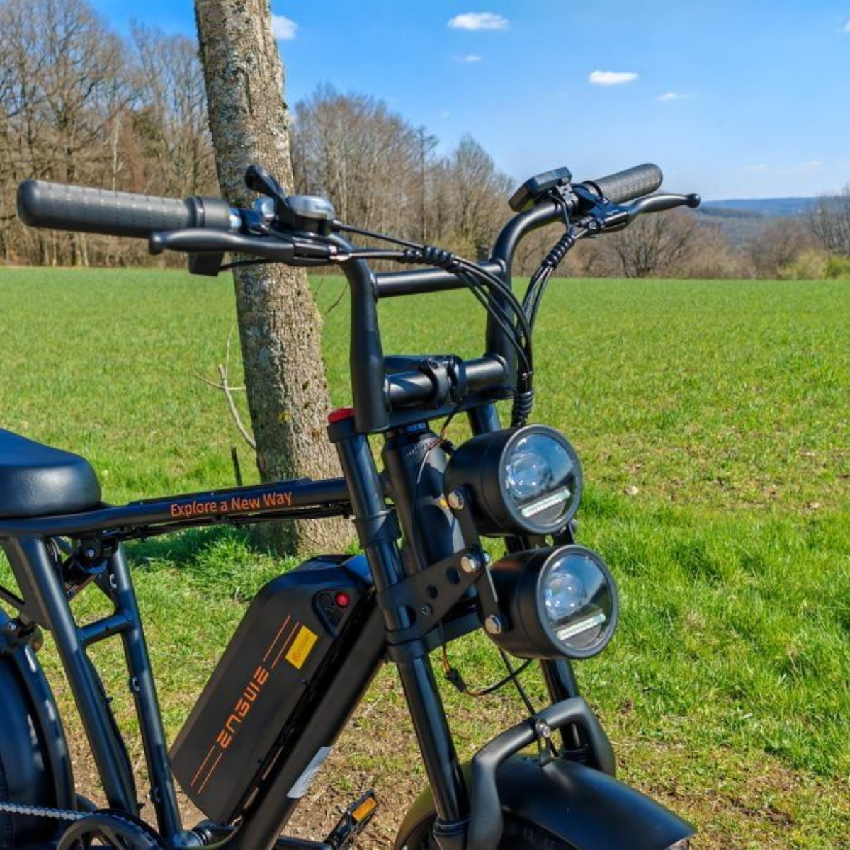 Bicicletta elettrica nera su un campo erboso. Lo sfondo include alberi e cielo blu.