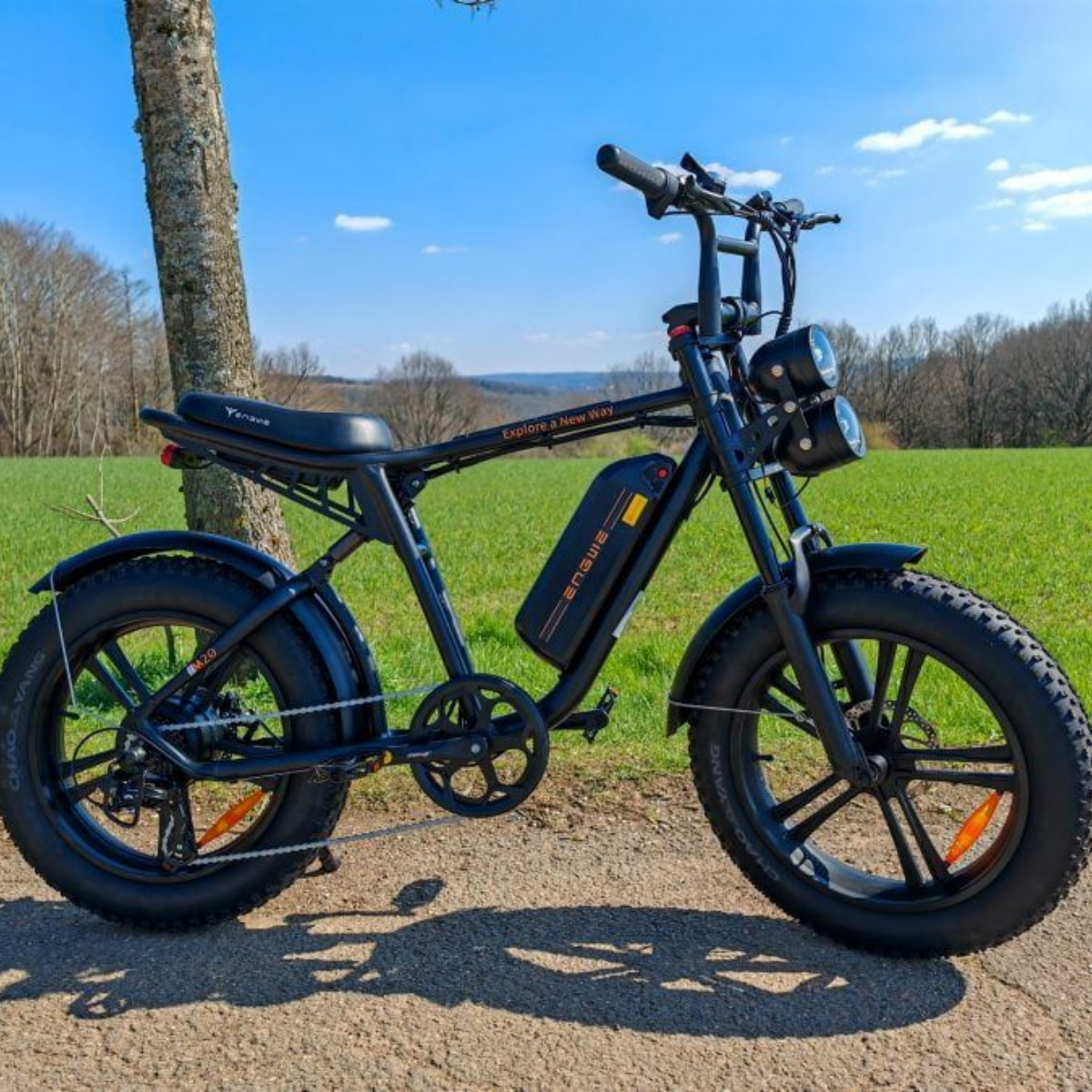 Bicicletta elettrica con telaio nero su un sentiero vicino a un albero e all'erba.