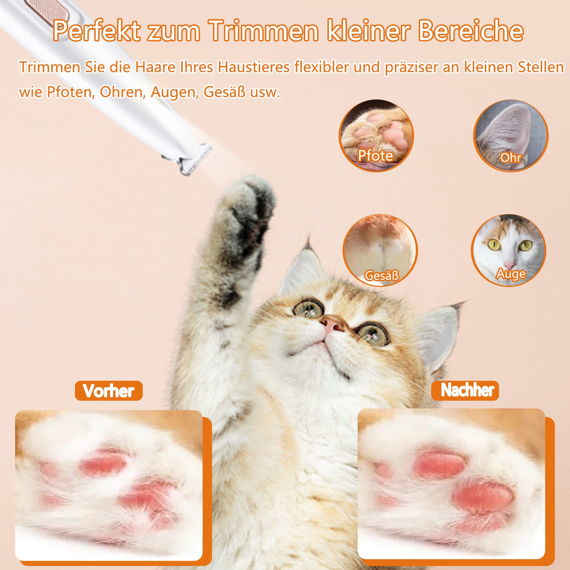 Katzenpfotenpflege. Vorher/Nachher-Ansicht der Pfoten. Trimmwerkzeug in der oberen linken Ecke.