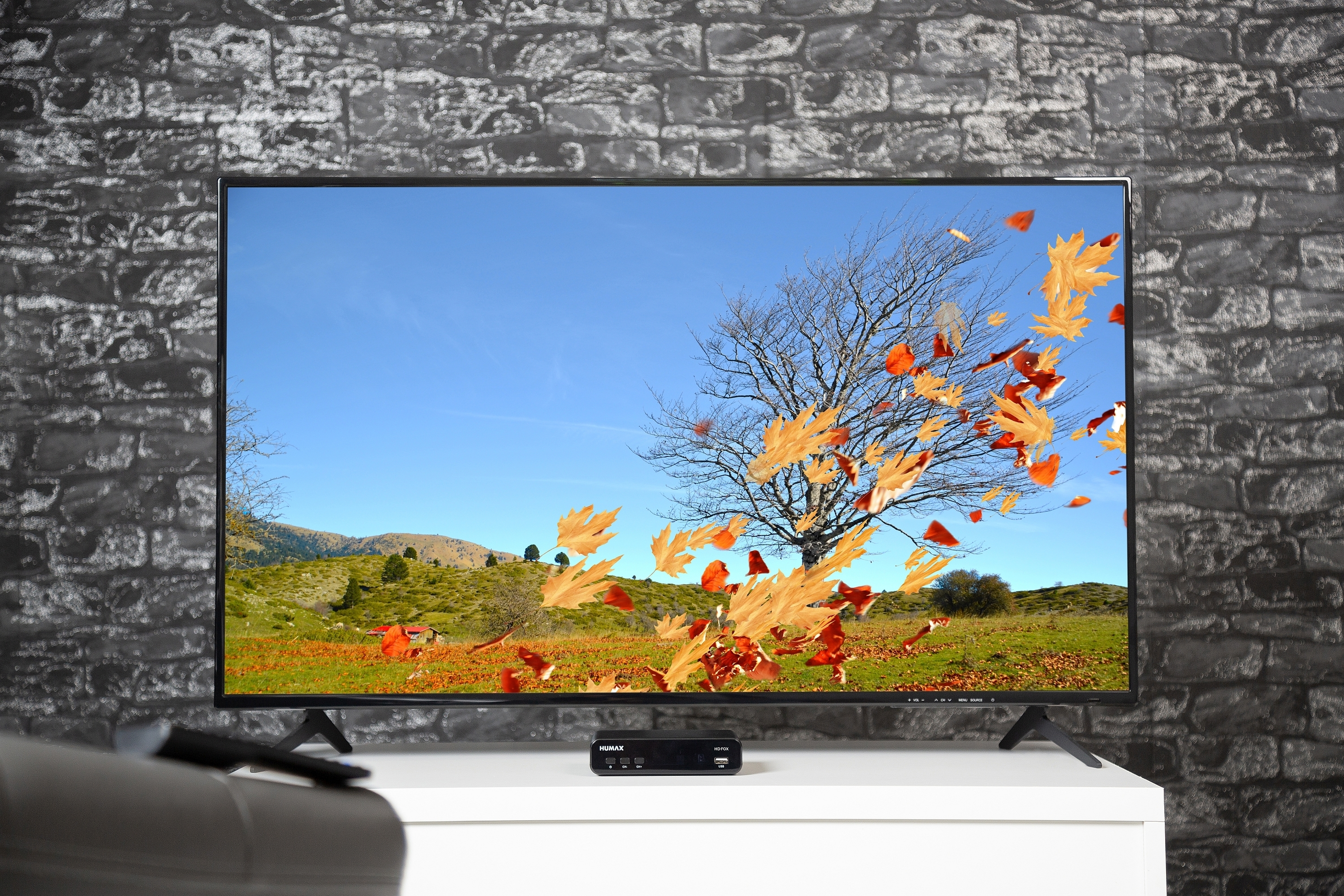 Ein Fernseher zeigt eine Herbstszene mit im Wind wehenden Blättern. Ein TV-Ständer und eine Fernbedienung sind zu sehen.