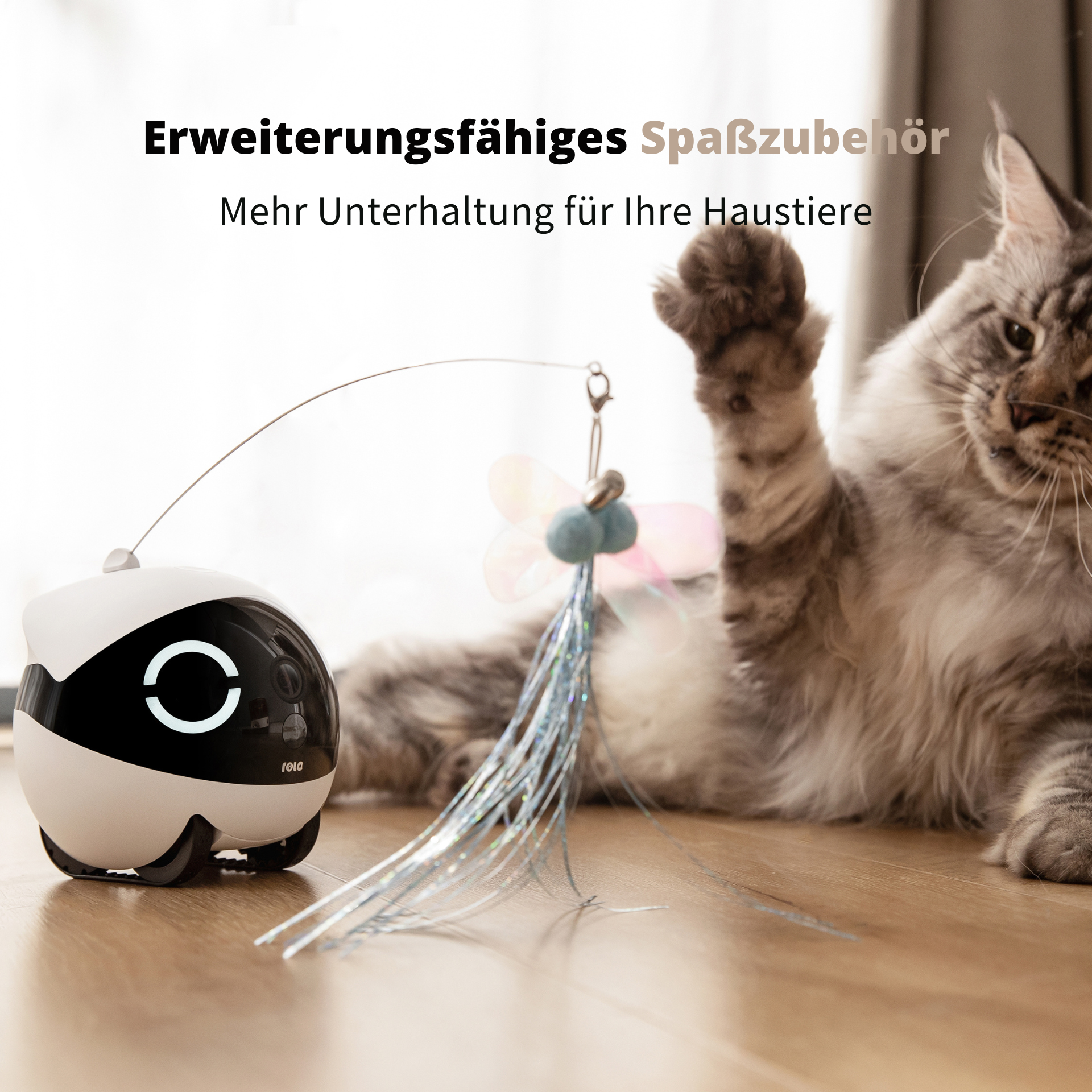 Katze spielt mit einem Spielzeug. Ein Roboter-Spielzeug mit Licht und einem Federstab.