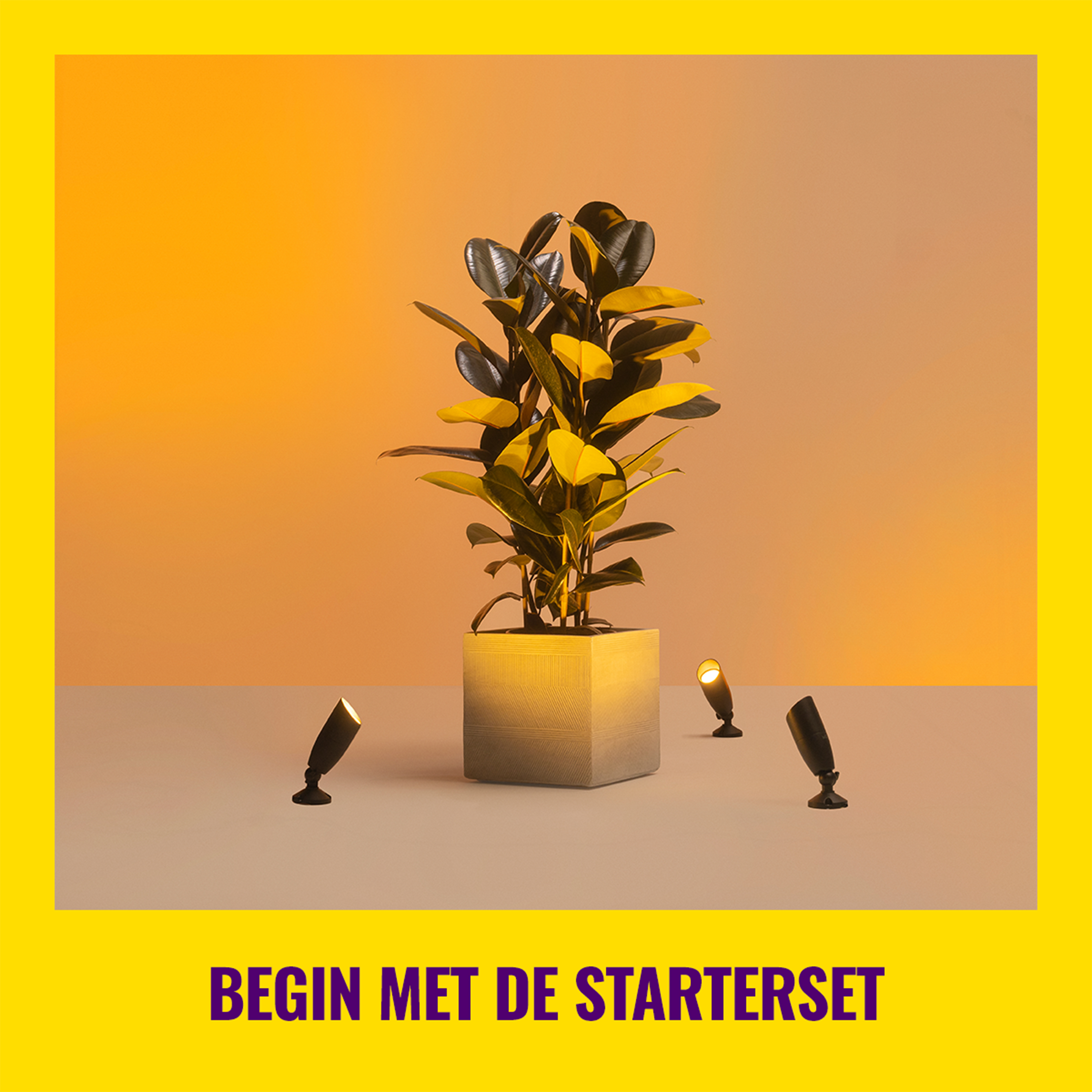 A plant in a concrete pot, lit by three spotlights. Yellow background.