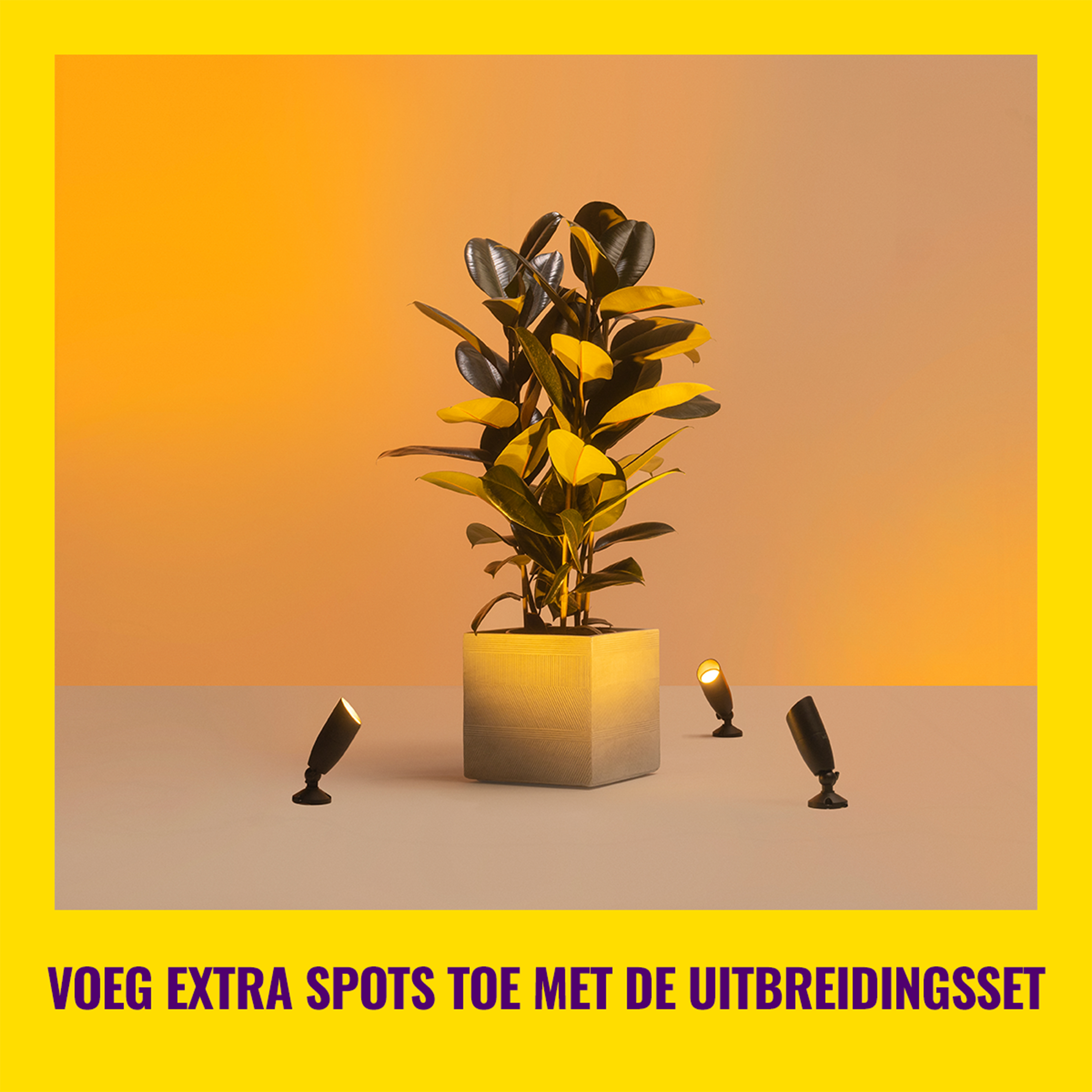 A plant in a pot with spotlights around it, and a bright yellow background.