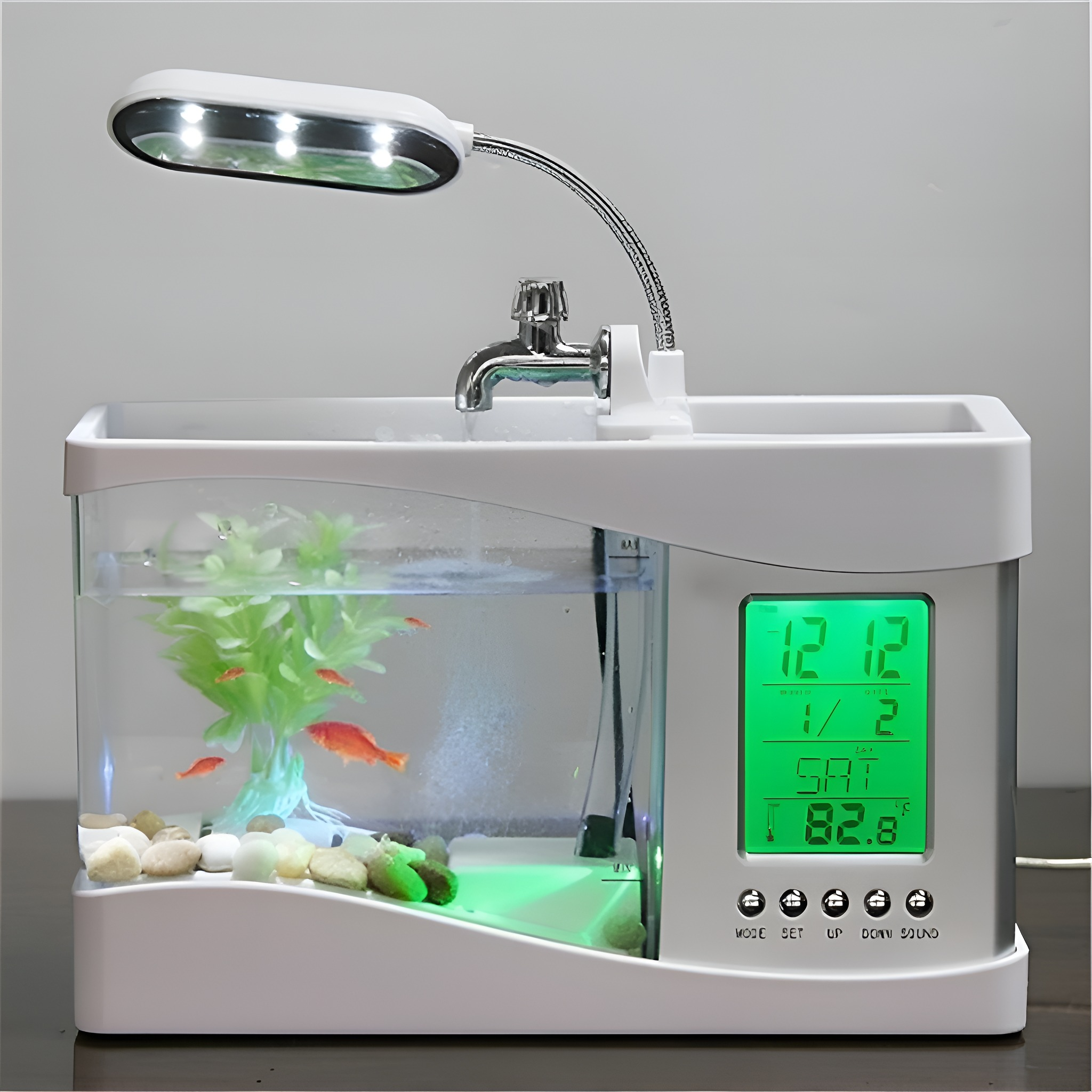 Ein Aquarium mit Fischen, einer Leuchte und einer Digitalanzeige mit Zeit und Temperatur.