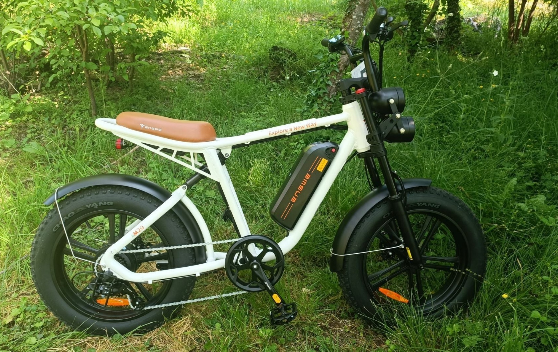 Bicicletta elettrica bianca sull'erba. Pneumatici neri, sella marrone. Alberi verdi sullo sfondo.