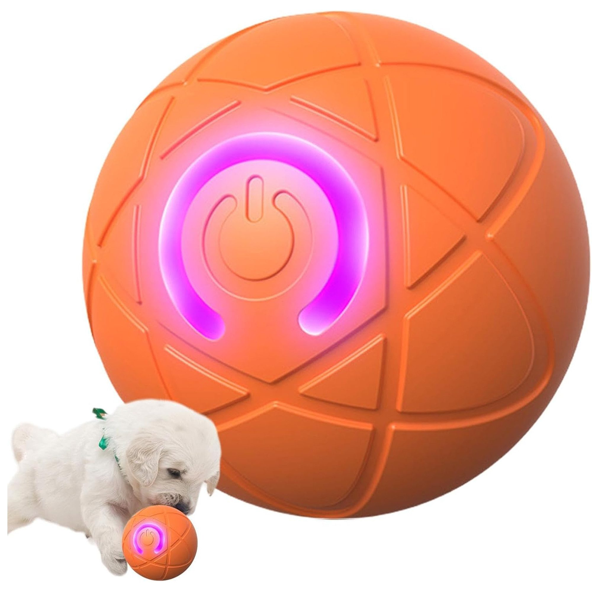 Oranger Ball mit leuchtendem Power-Knopf. Welpe daneben, betrachtet kleineren Ball.