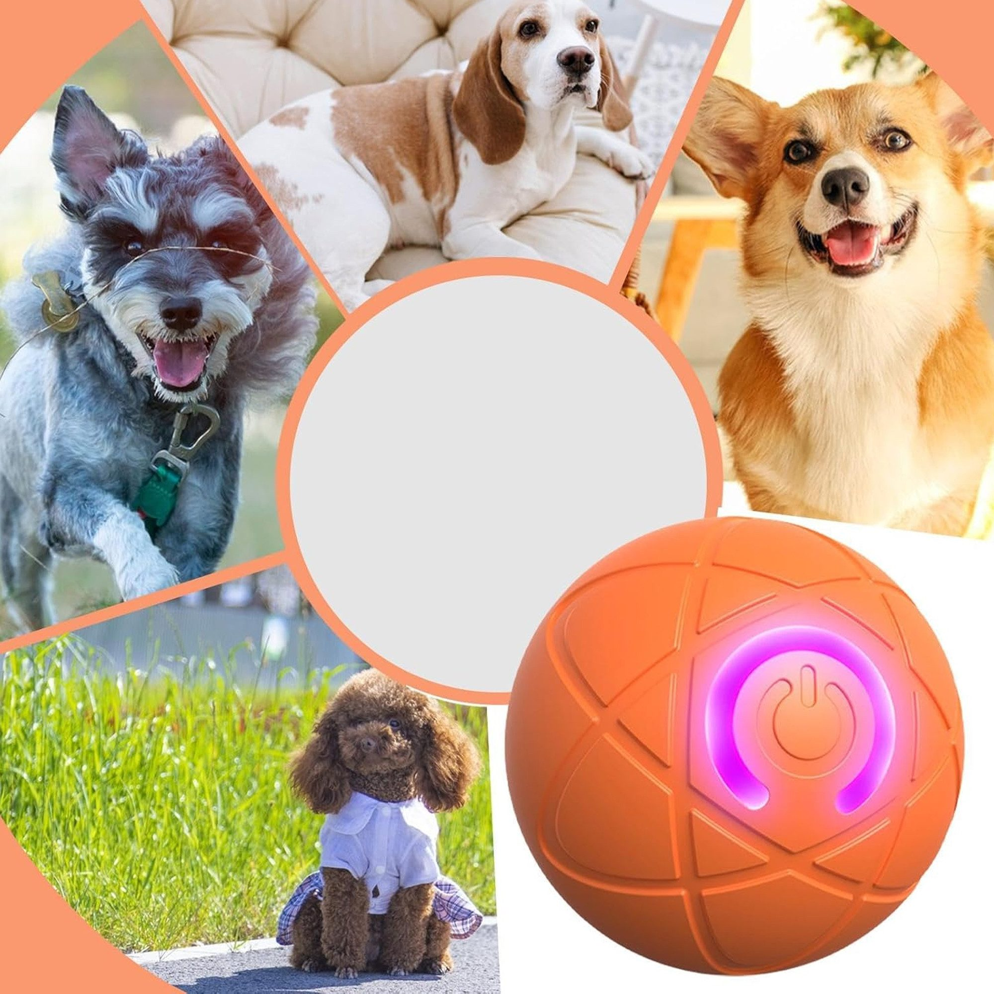 Ein orangefarbener Hundespielzeugball mit einem Stromsymbol, umgeben von Bildern von Hunden.