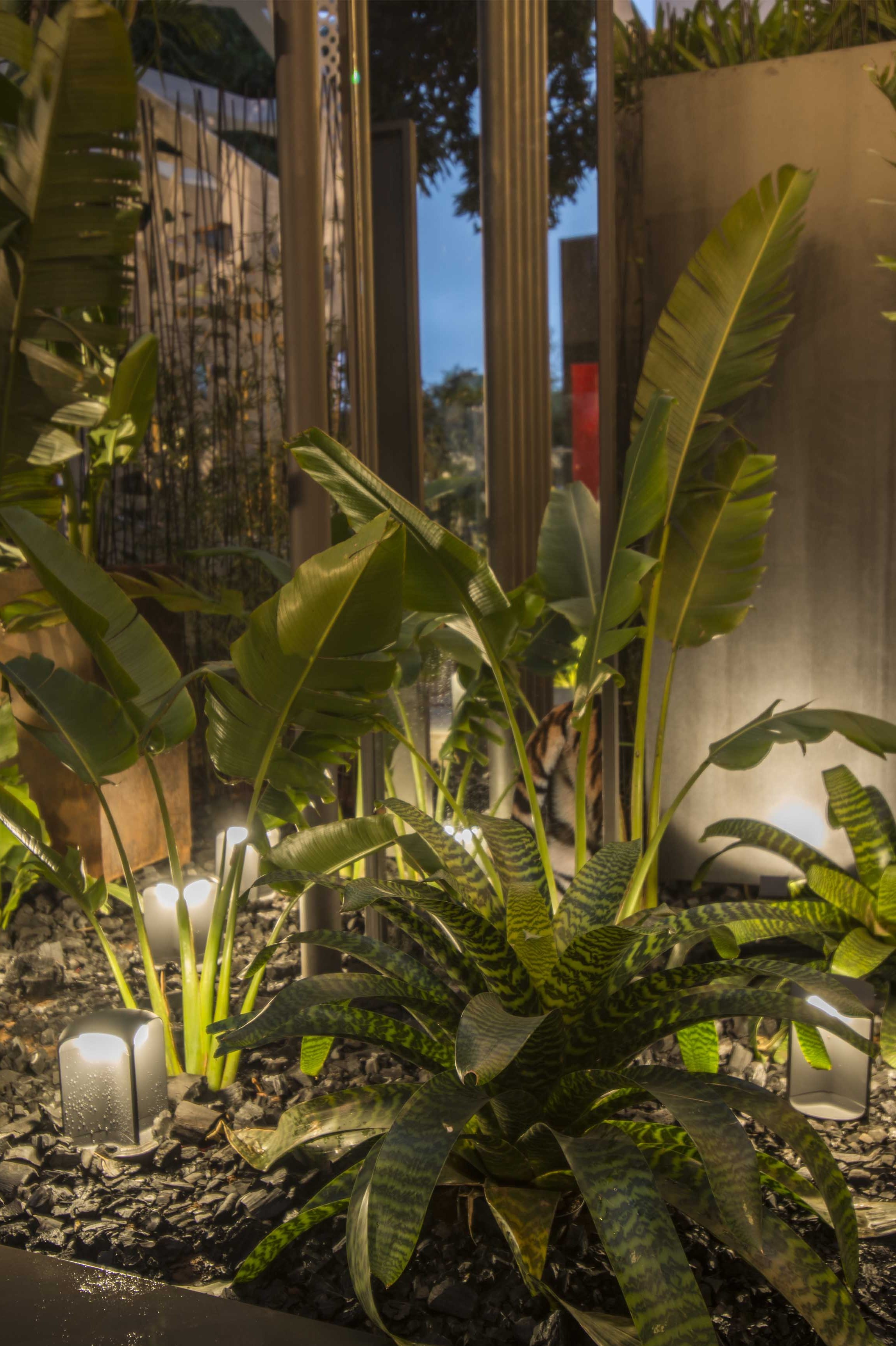 Scena di giardino con piante, luci e vista del cielo attraverso una struttura.