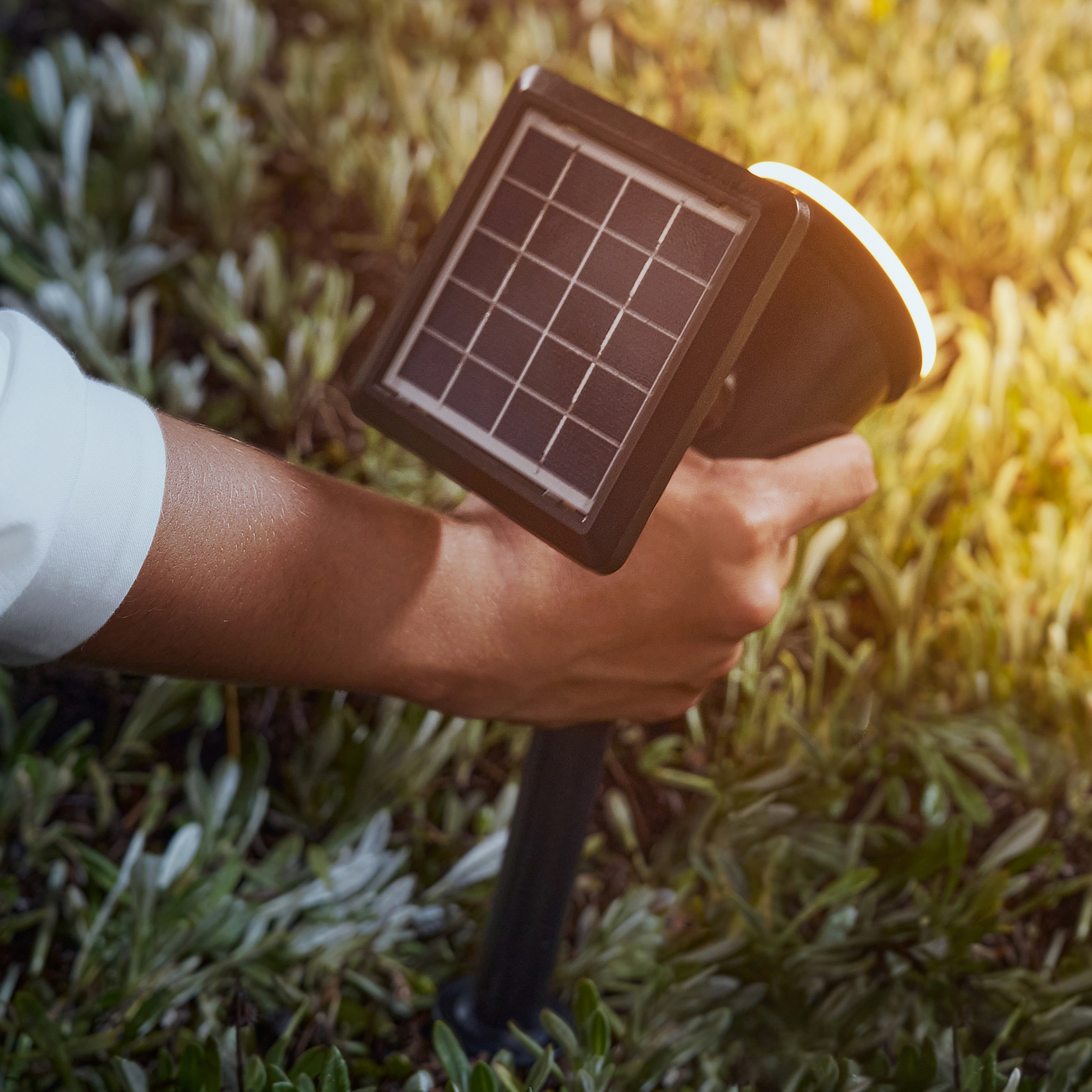 Eine Hand, die eine kleine Solarpanel-Leuchte über einem Pflanzenbeet hält. Das Licht ist an.