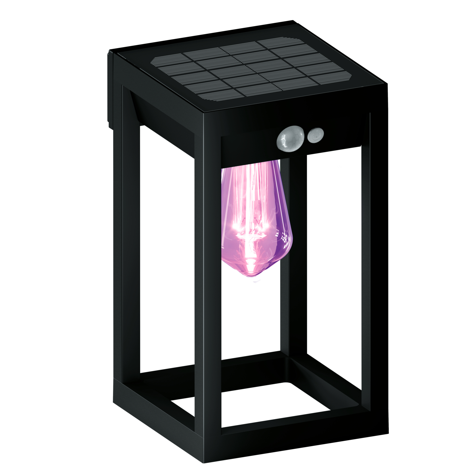 Luce esterna nera a energia solare con lampadina viola, sensore di movimento e pannello solare in alto.